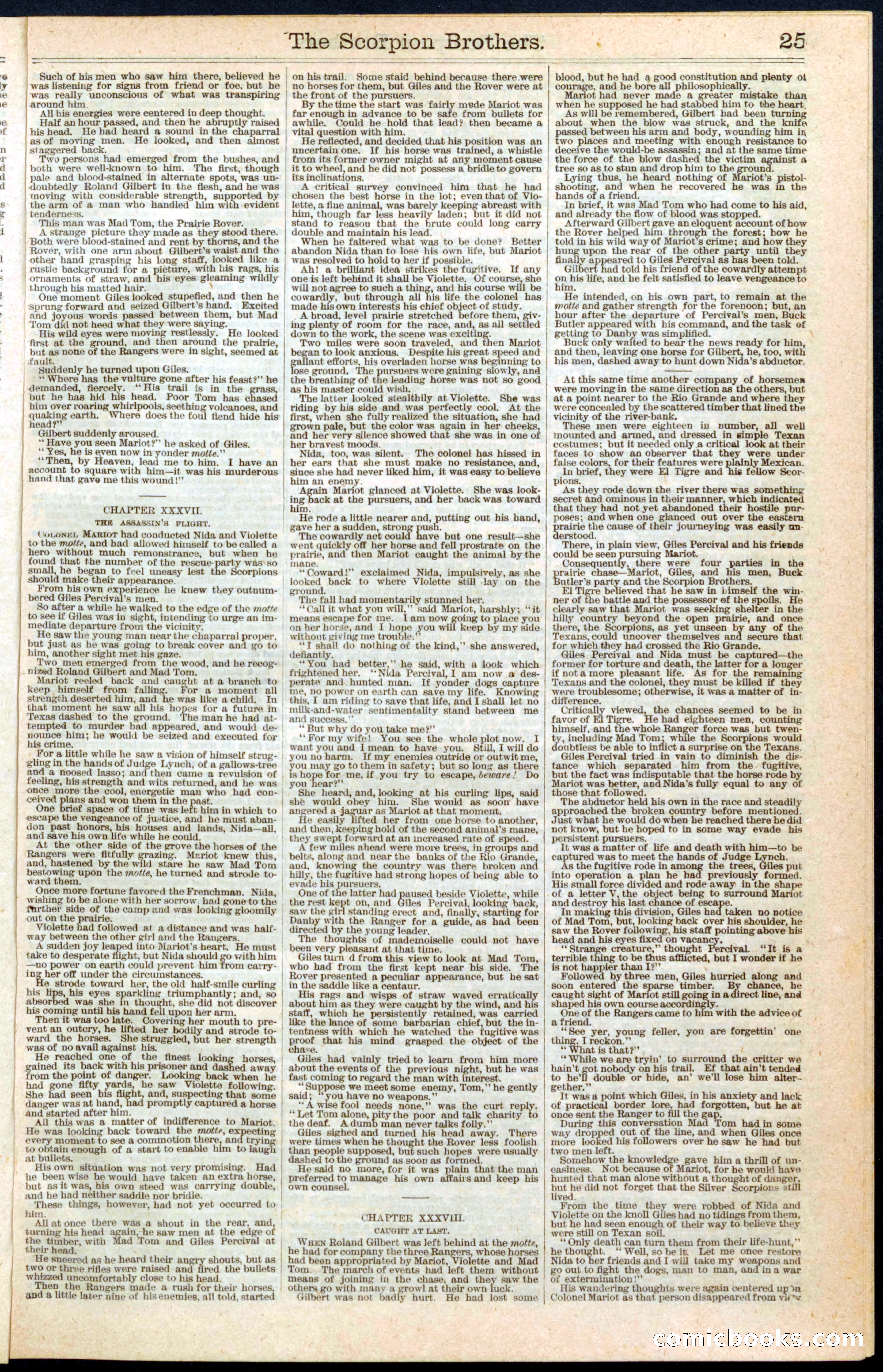 The Scorpion Brothers; or, Mad Tom's Mission — page 25 of 32