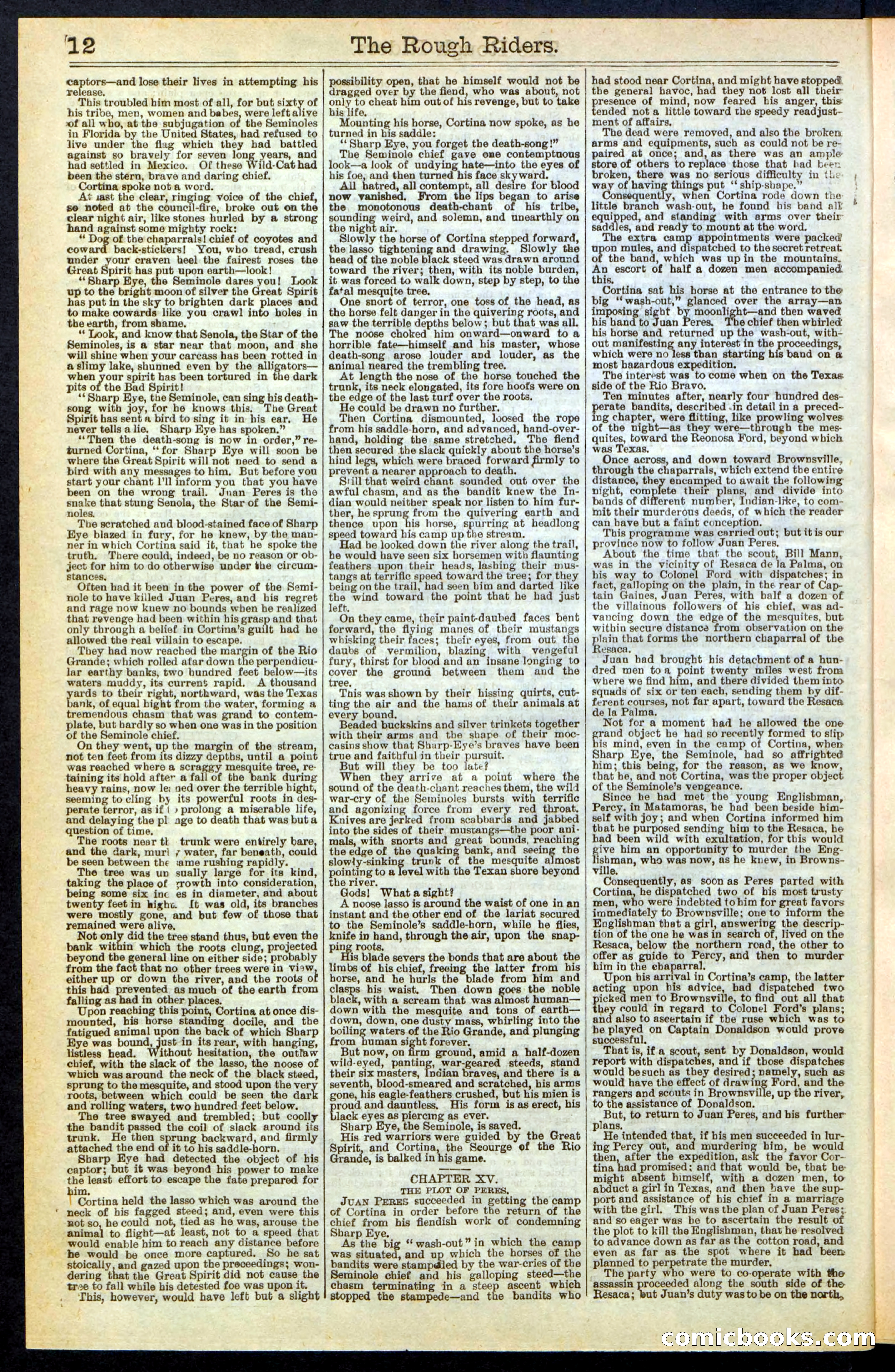 The Rough Riders; or, Sharp Eye, the Seminole Scourge — page 12 of 32