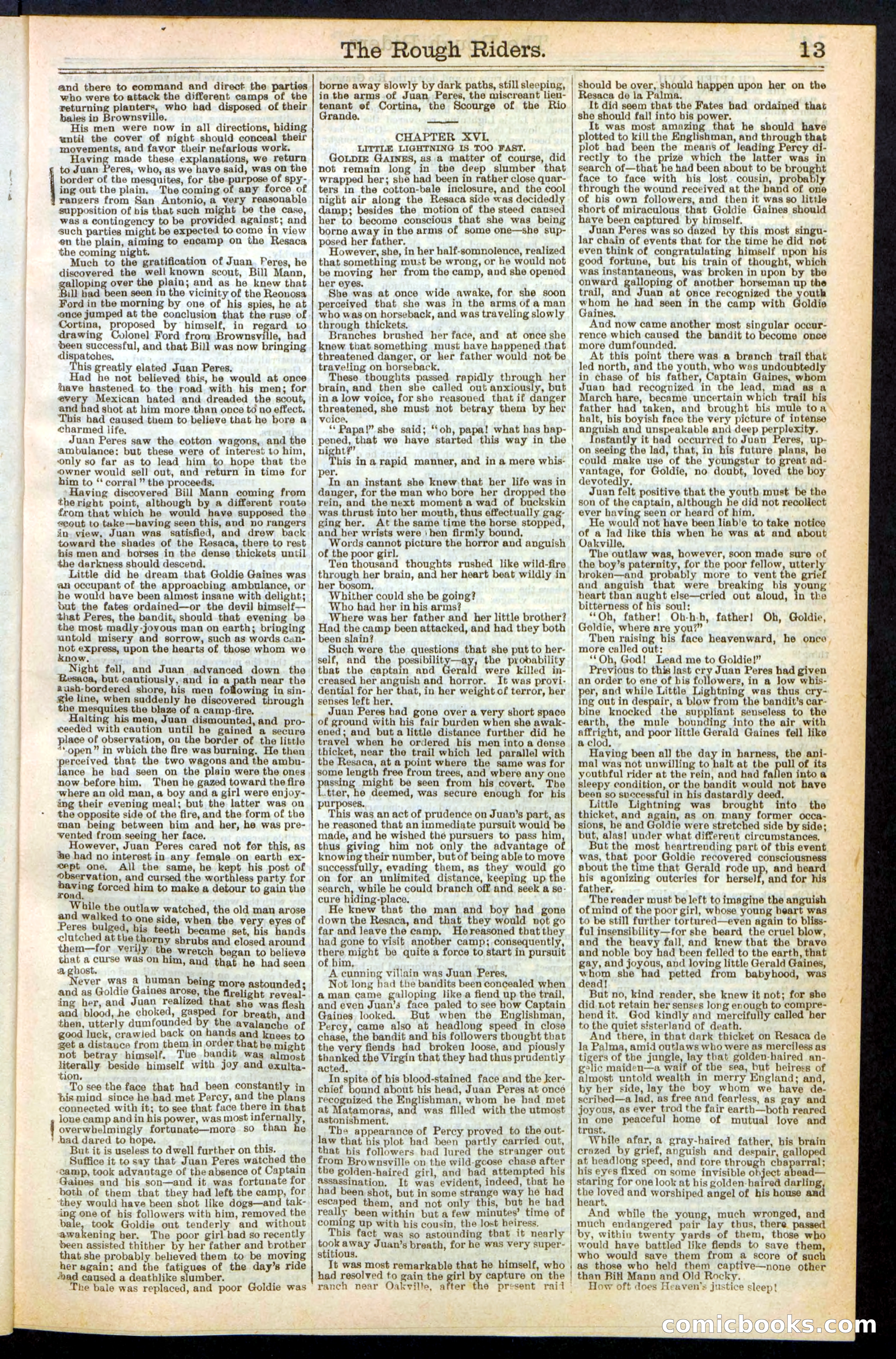 The Rough Riders; or, Sharp Eye, the Seminole Scourge — page 13 of 32