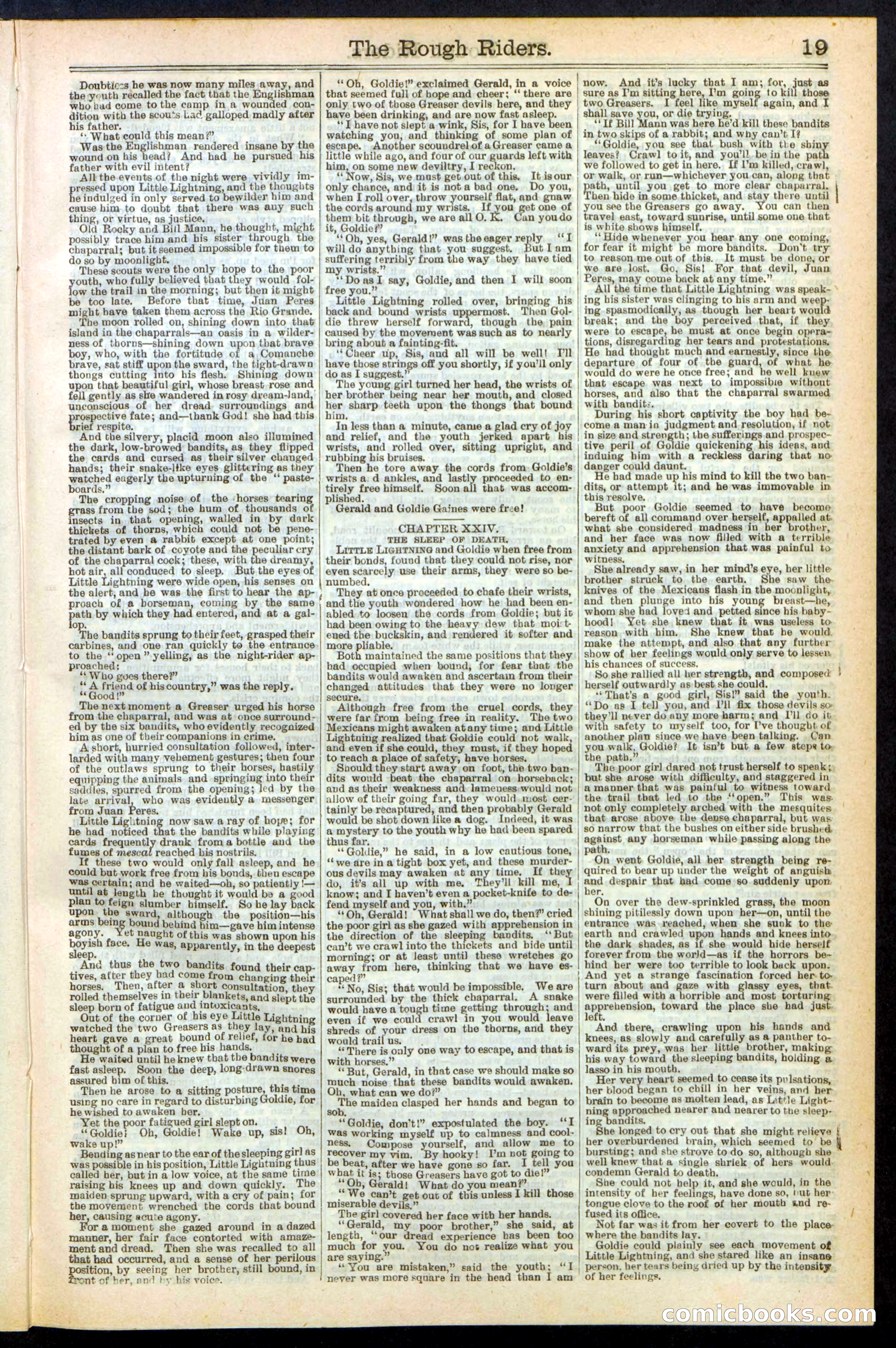 The Rough Riders; or, Sharp Eye, the Seminole Scourge — page 19 of 32