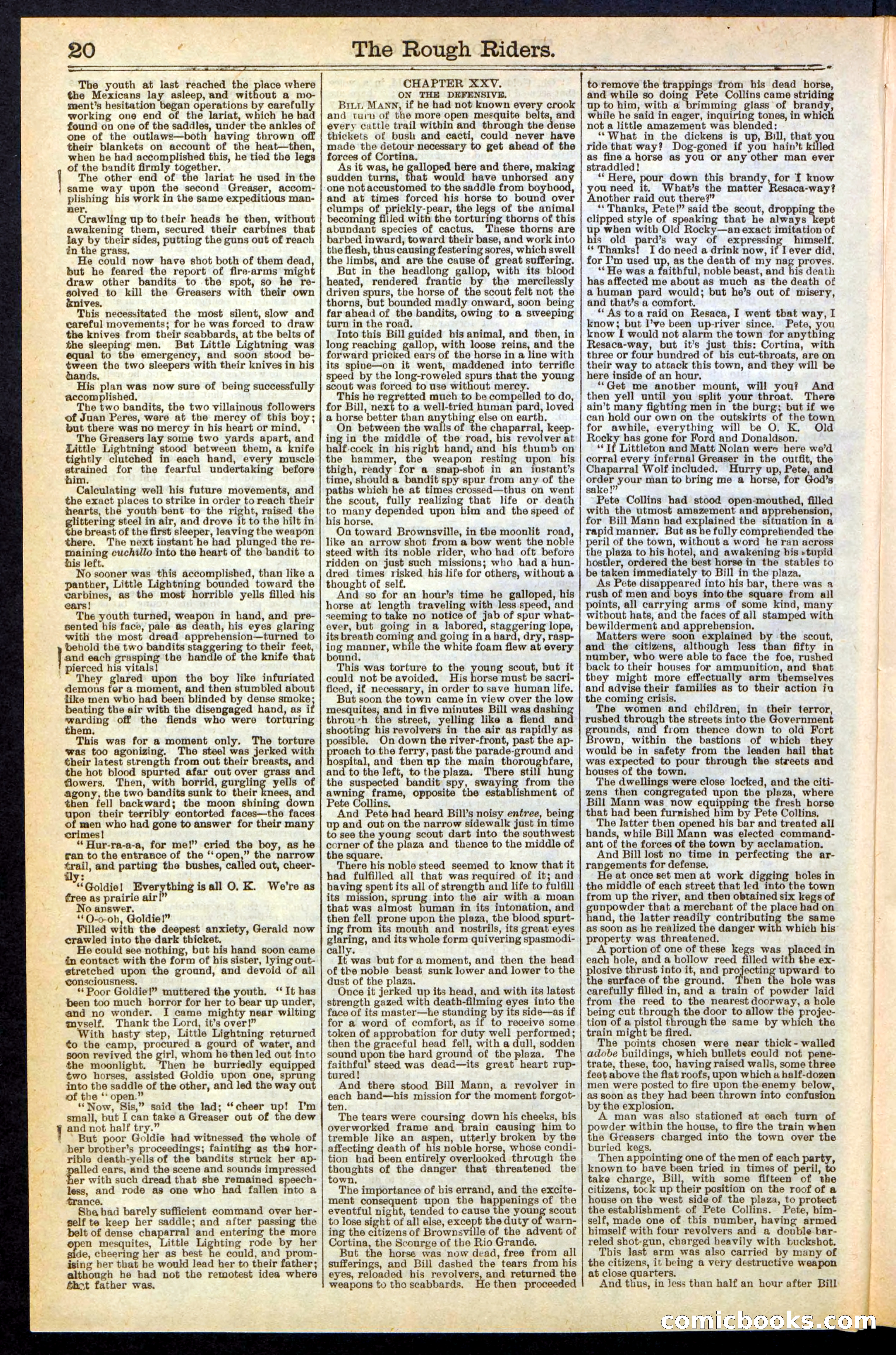 The Rough Riders; or, Sharp Eye, the Seminole Scourge — page 20 of 32