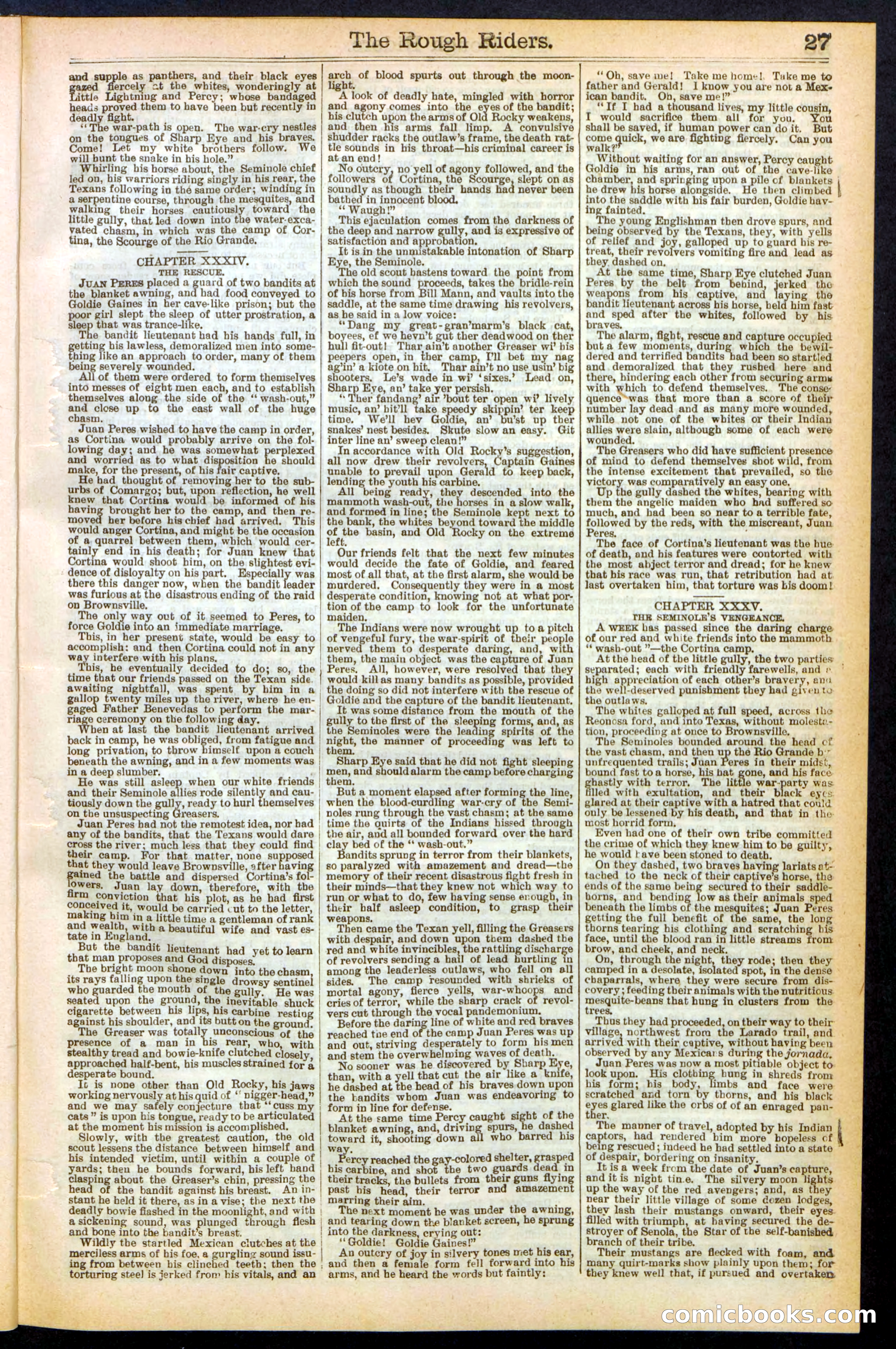 The Rough Riders; or, Sharp Eye, the Seminole Scourge — page 27 of 32