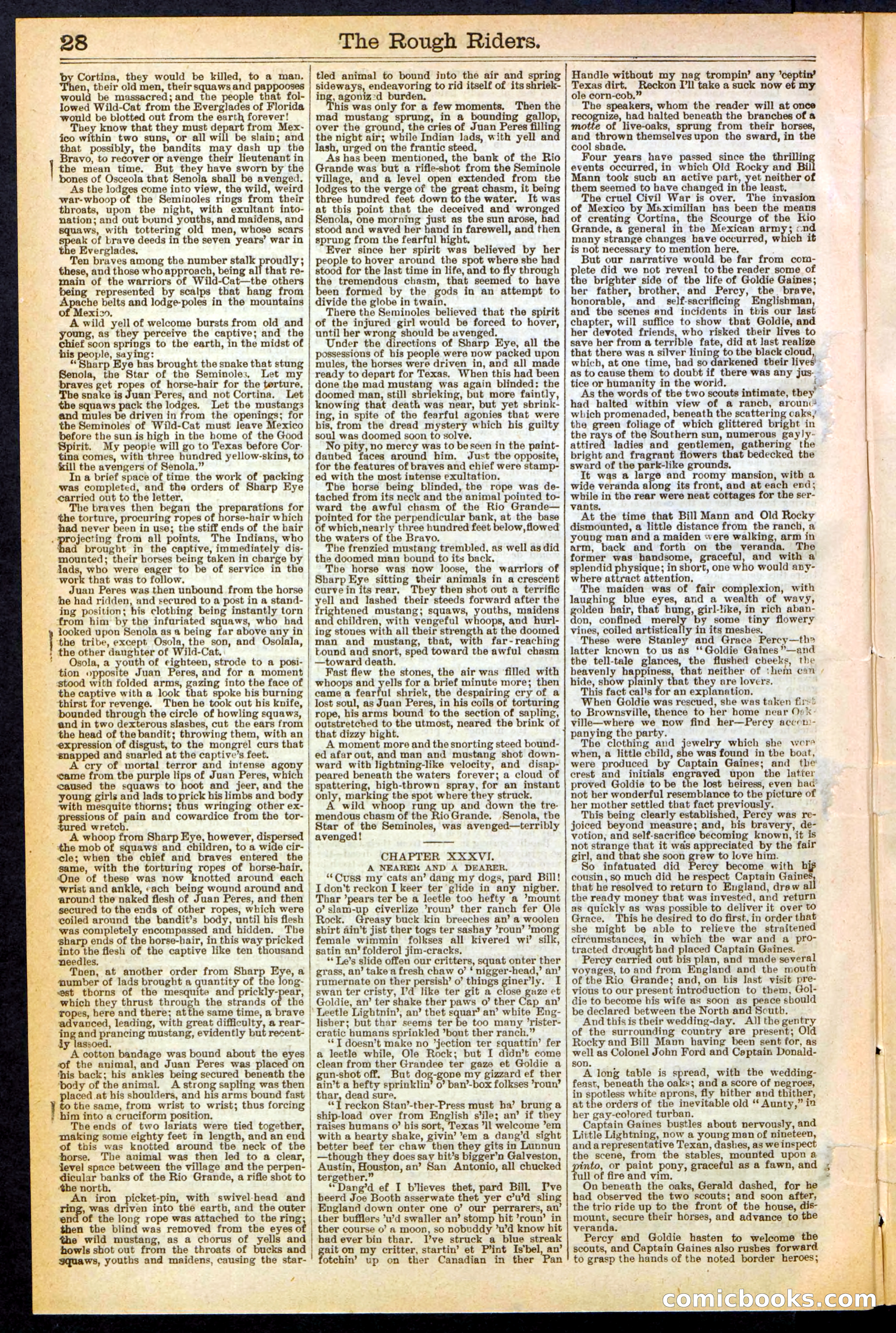 The Rough Riders; or, Sharp Eye, the Seminole Scourge — page 28 of 32
