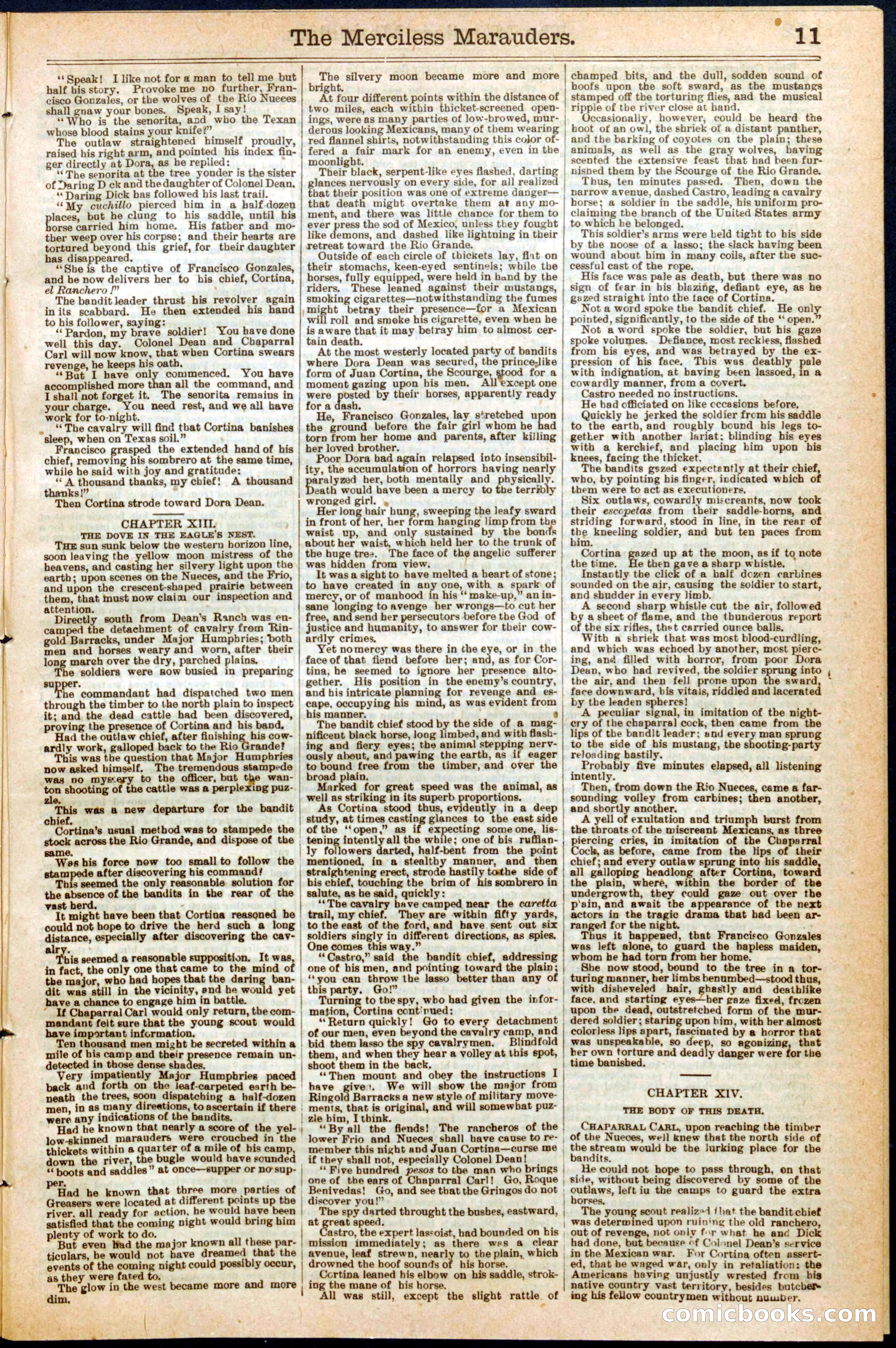 The Merciless Marauders; or, Chaparral Carl's Revenge — page 11 of 24