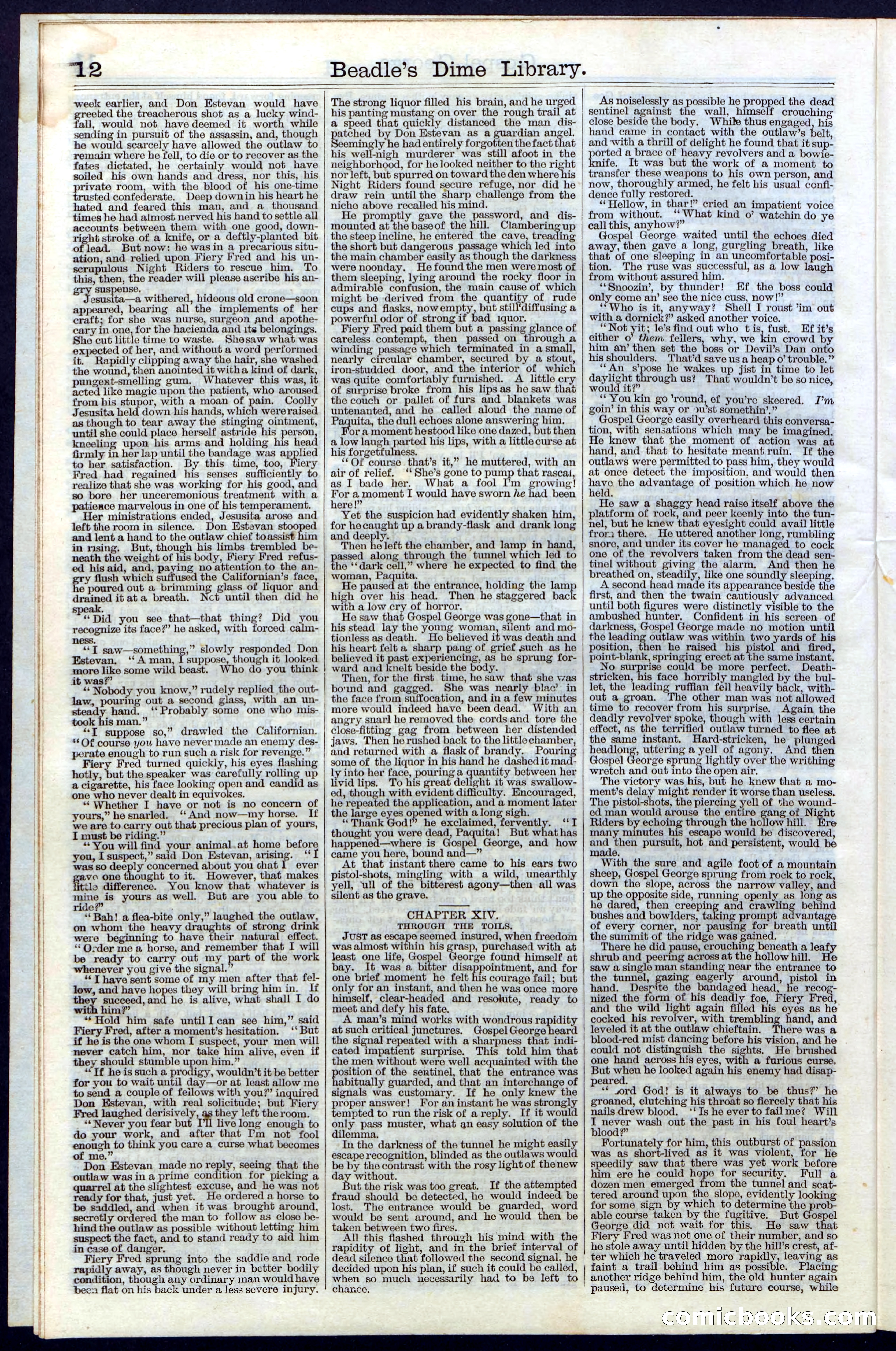 Beadle's New York Dime Library, No. 30 — page 12 of 32