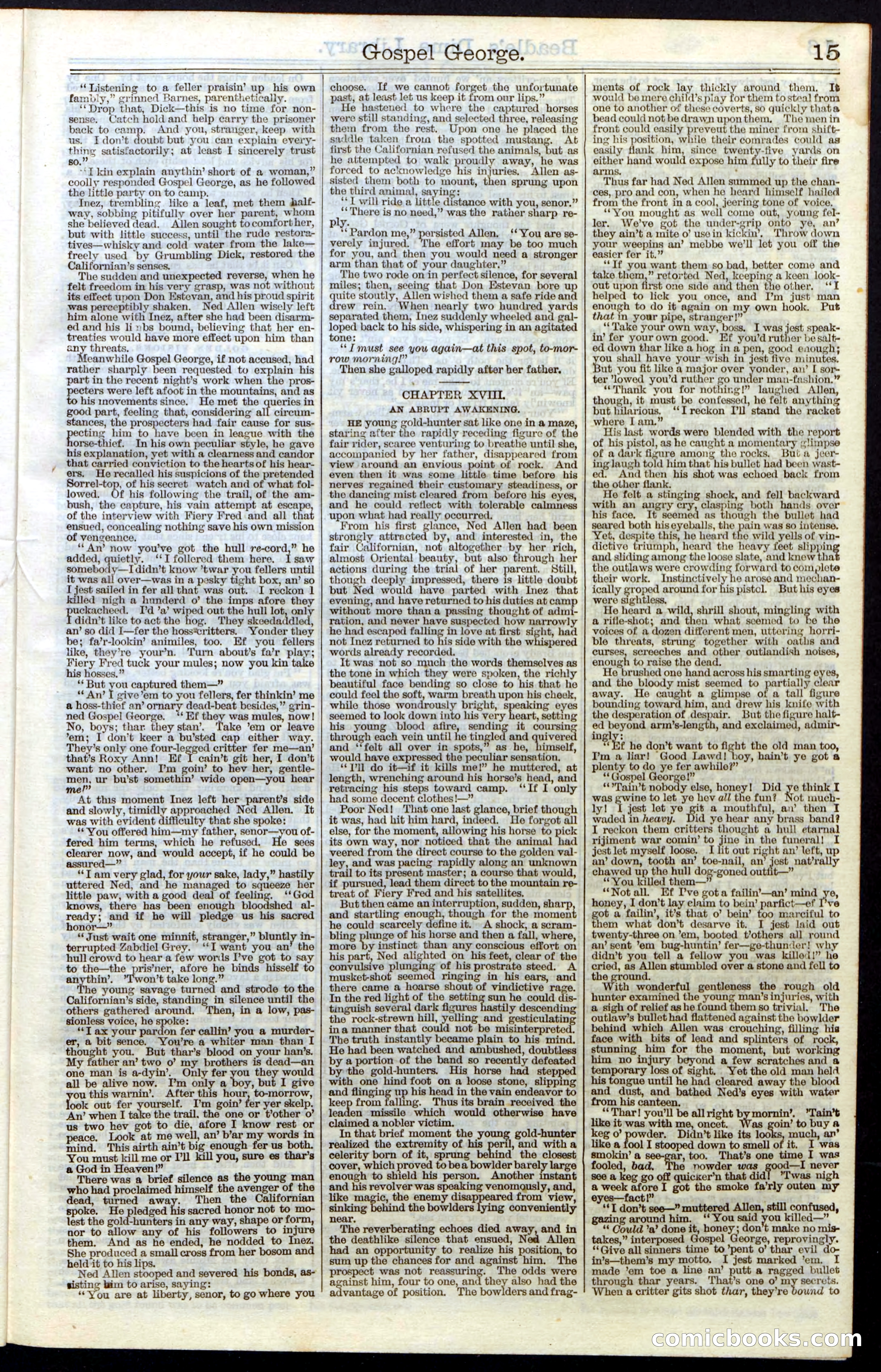 Beadle's New York Dime Library, No. 30 — page 15 of 32