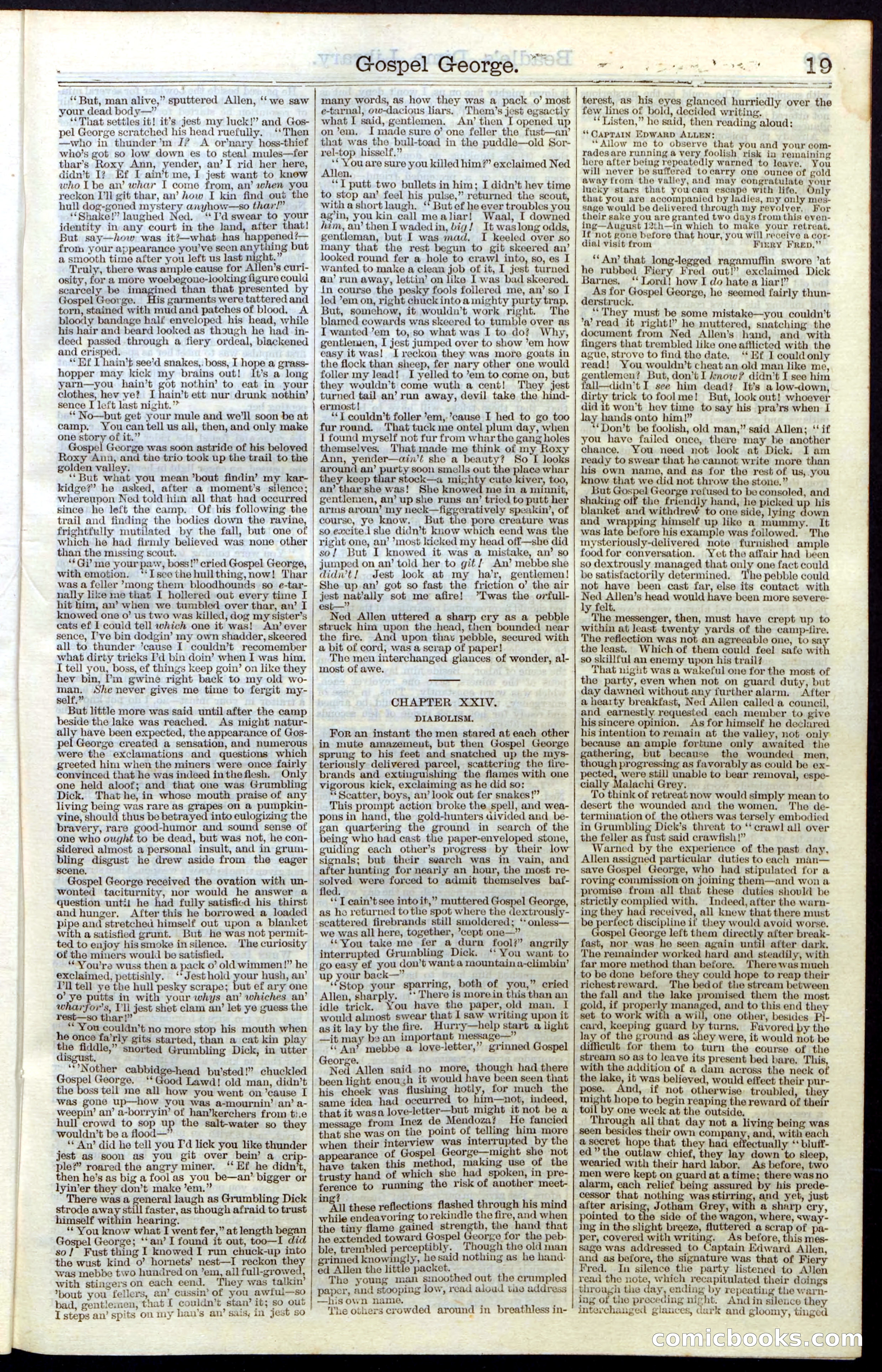 Beadle's New York Dime Library, No. 30 — page 19 of 32
