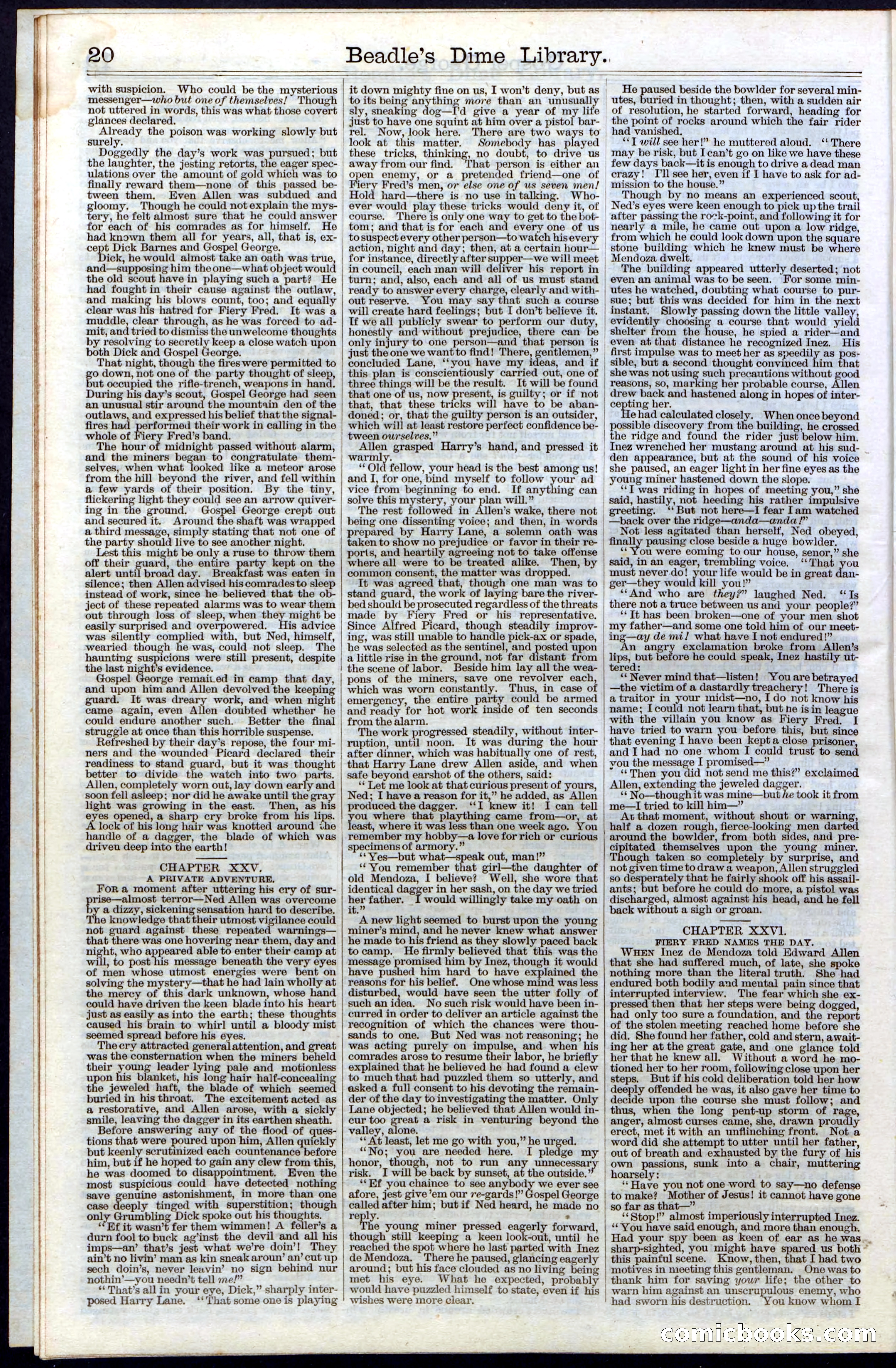 Beadle's New York Dime Library, No. 30 — page 20 of 32
