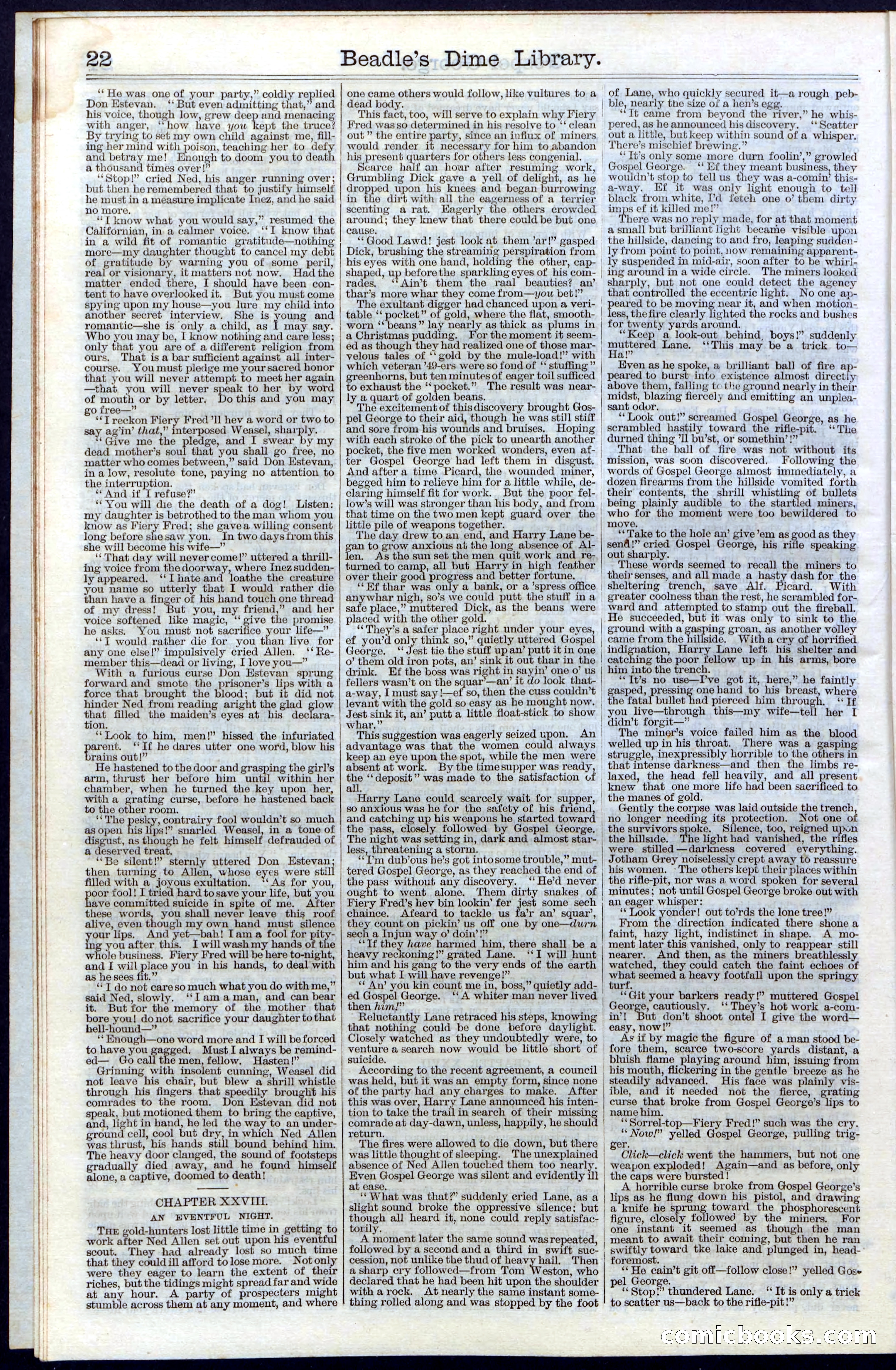 Beadle's New York Dime Library, No. 30 — page 22 of 32