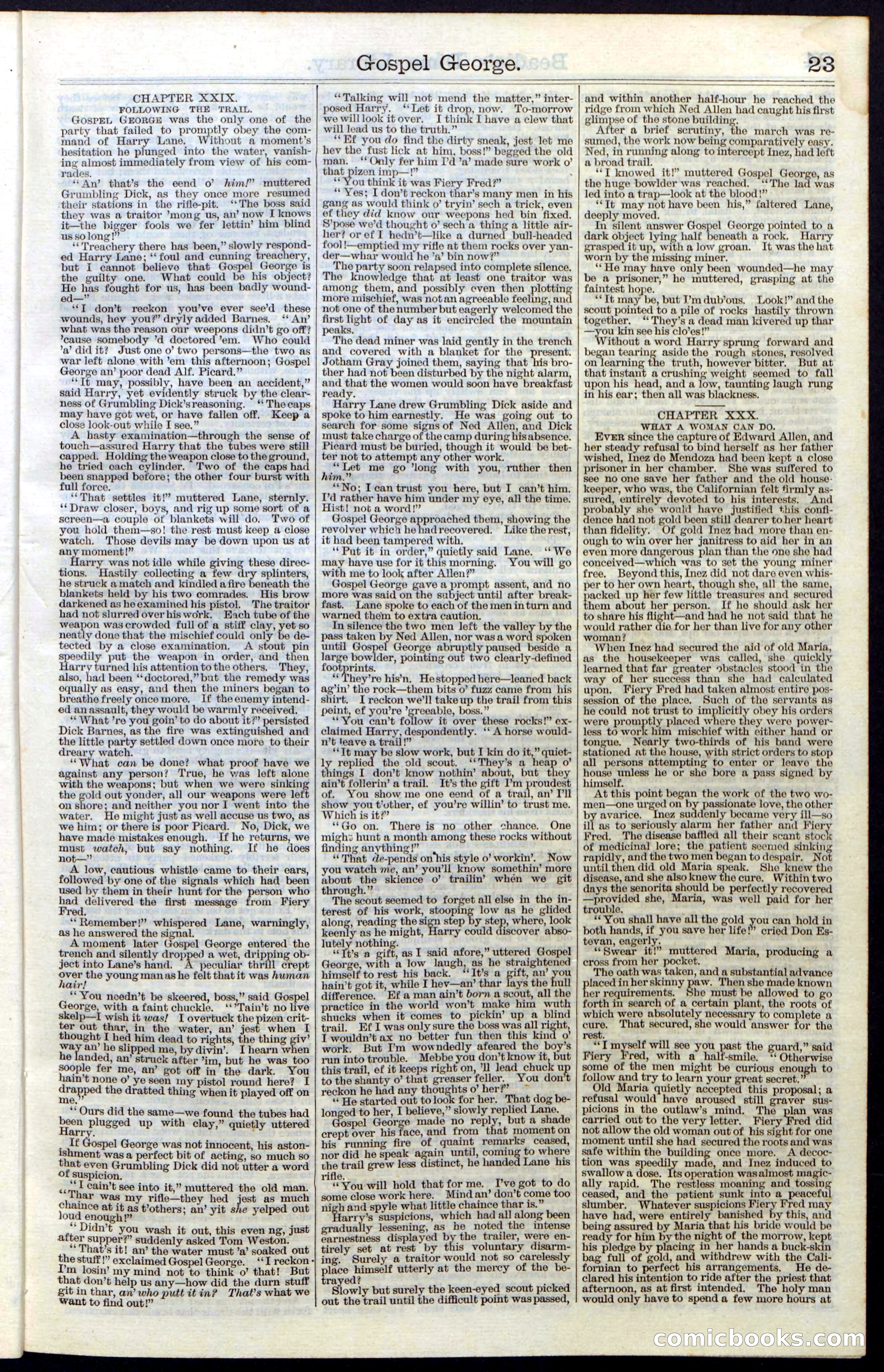 Beadle's New York Dime Library, No. 30 — page 23 of 32