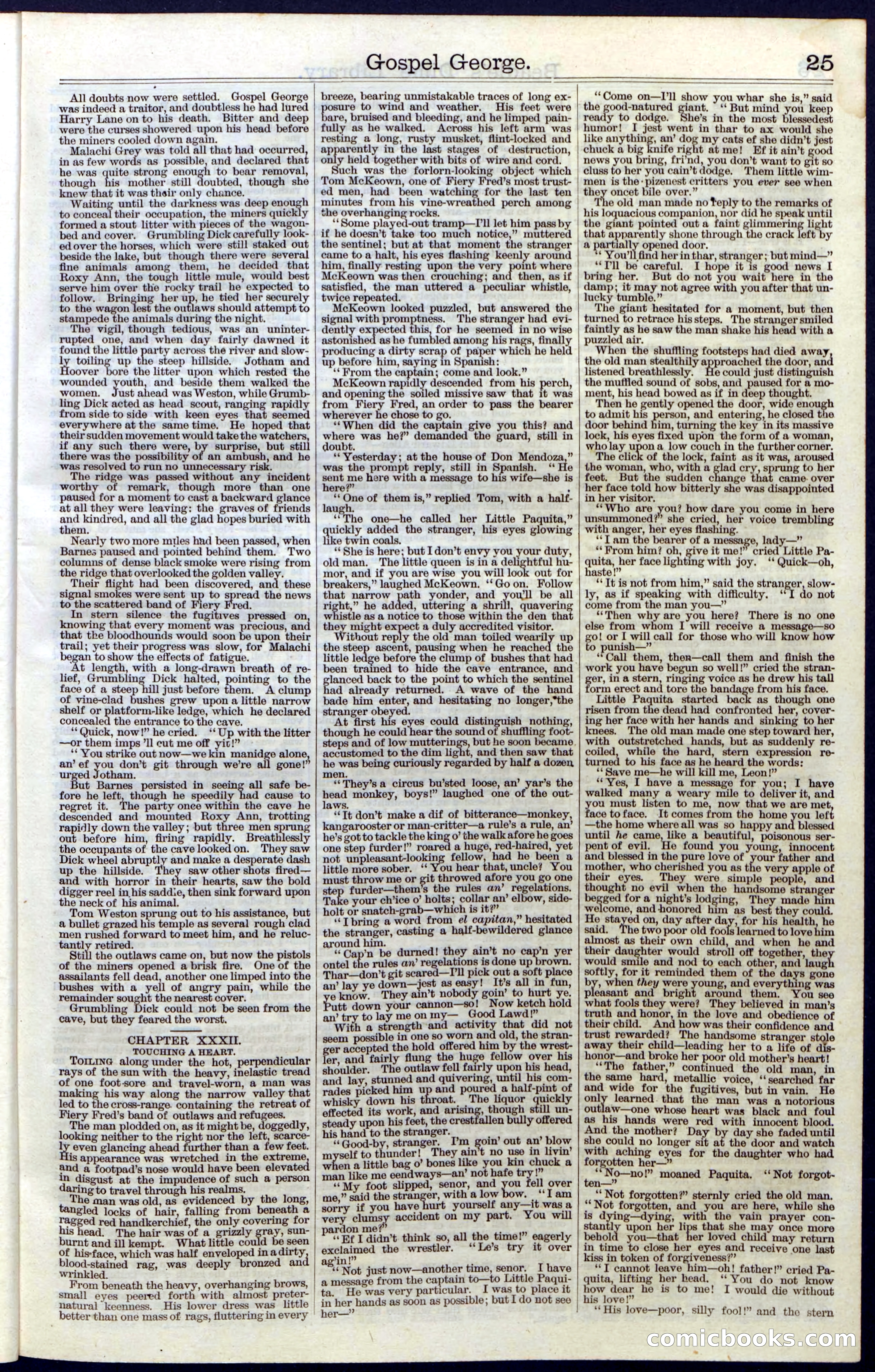Beadle's New York Dime Library, No. 30 — page 25 of 32