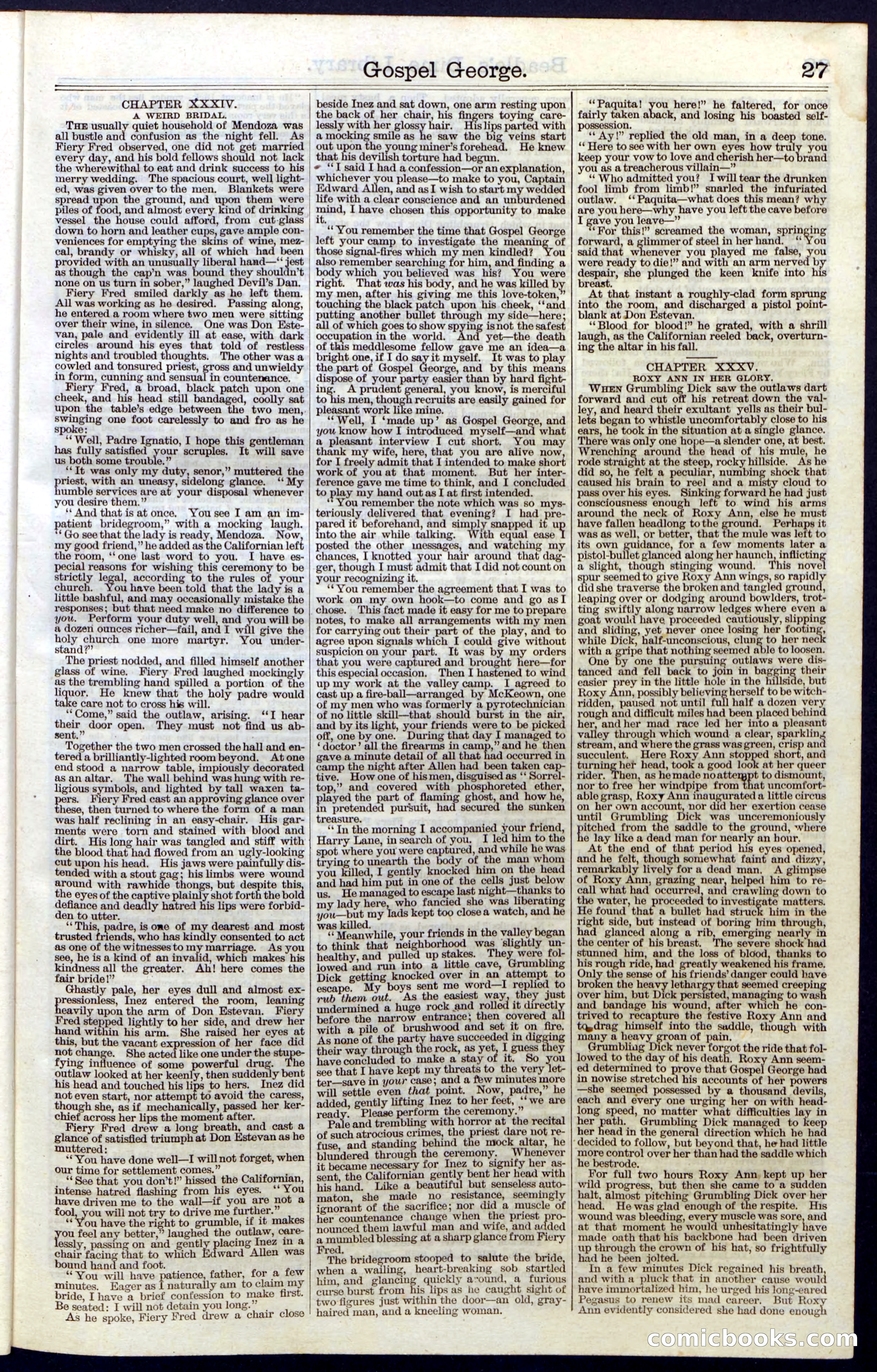 Beadle's New York Dime Library, No. 30 — page 27 of 32