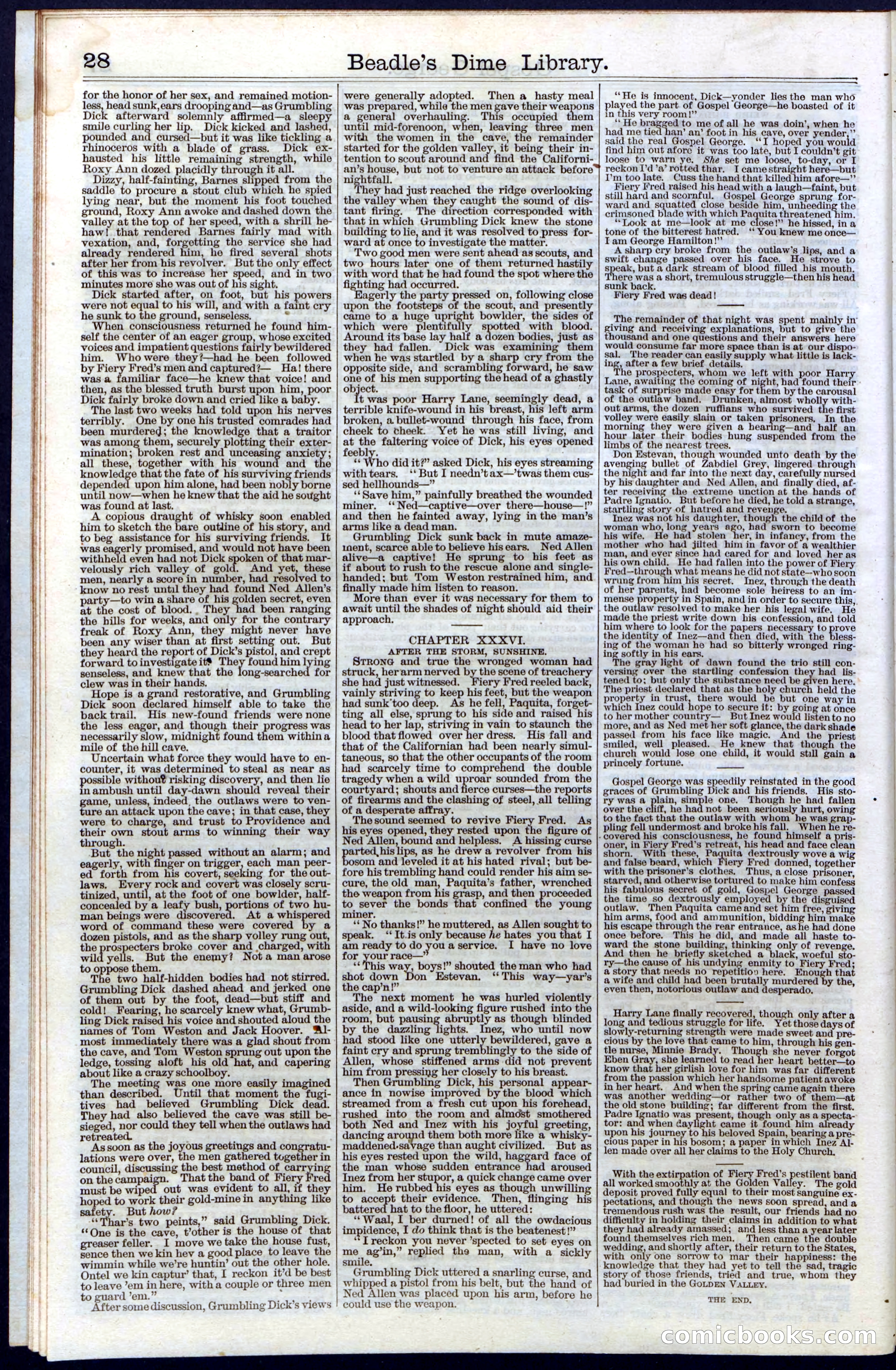 Beadle's New York Dime Library, No. 30 — page 28 of 32