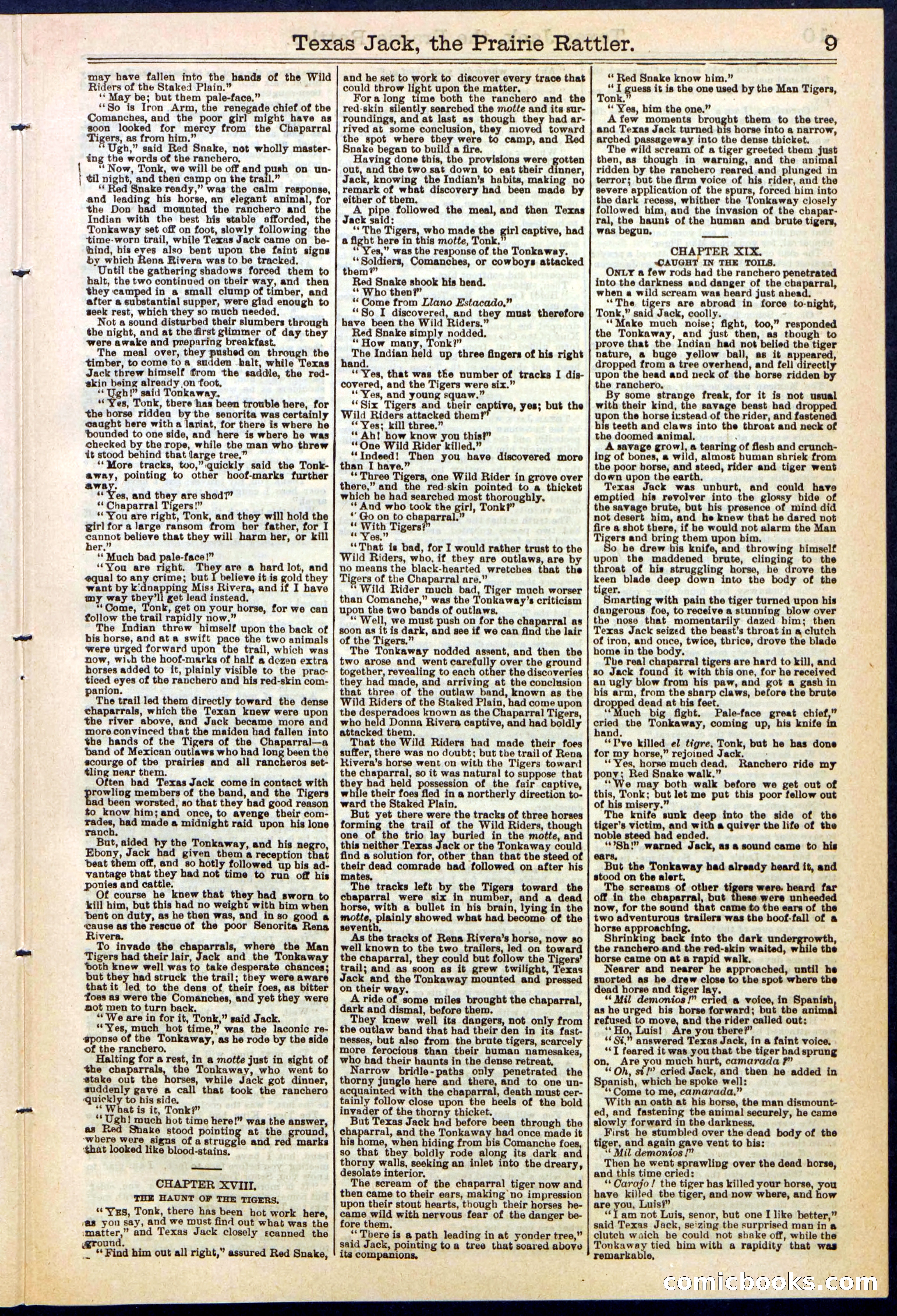 Texas Jack, the Prairie Rattler; or, The Queen of the Wild Riders — page 9 of 24