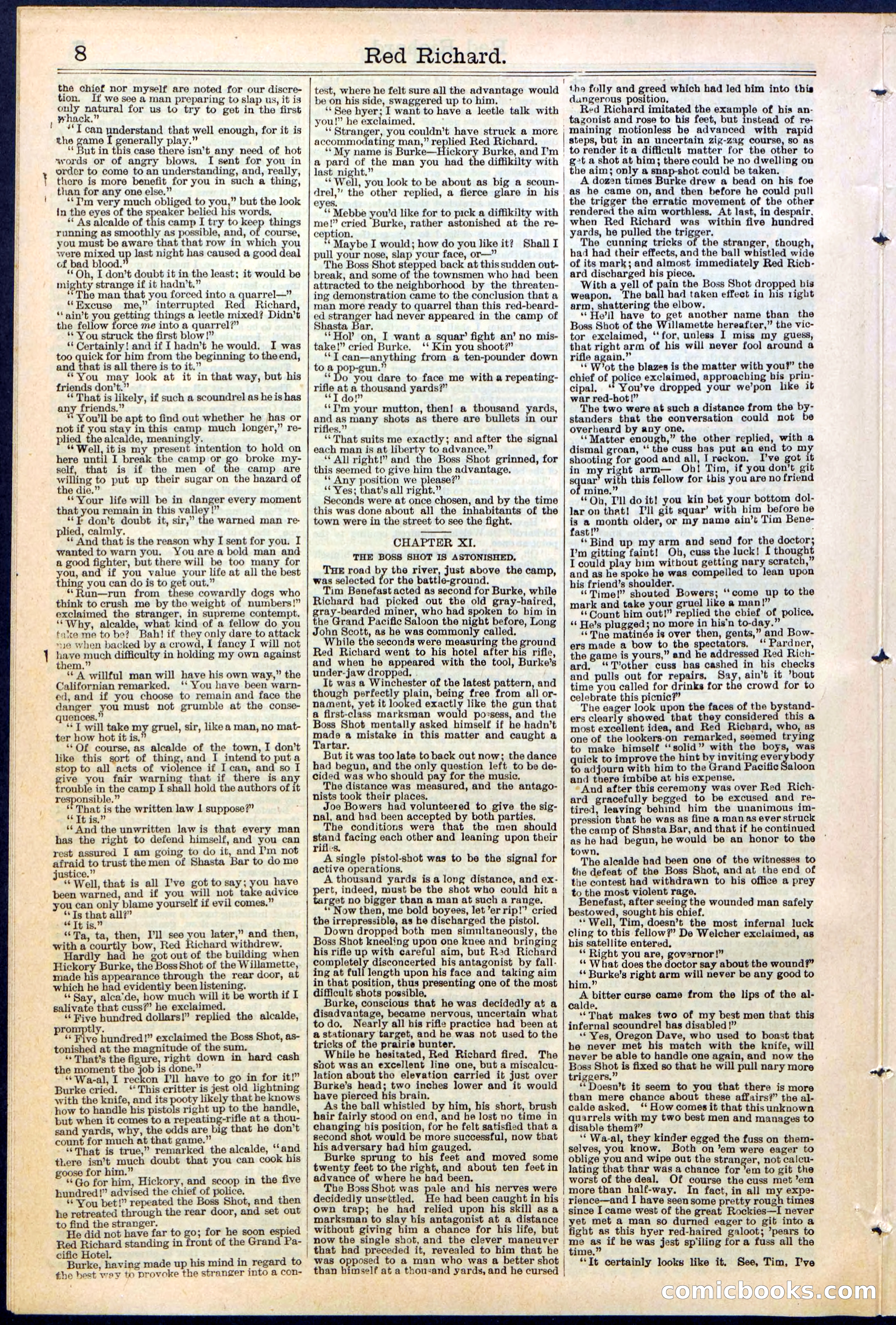 Beadle's New York Dime Library No. 354 — page 8 of 24