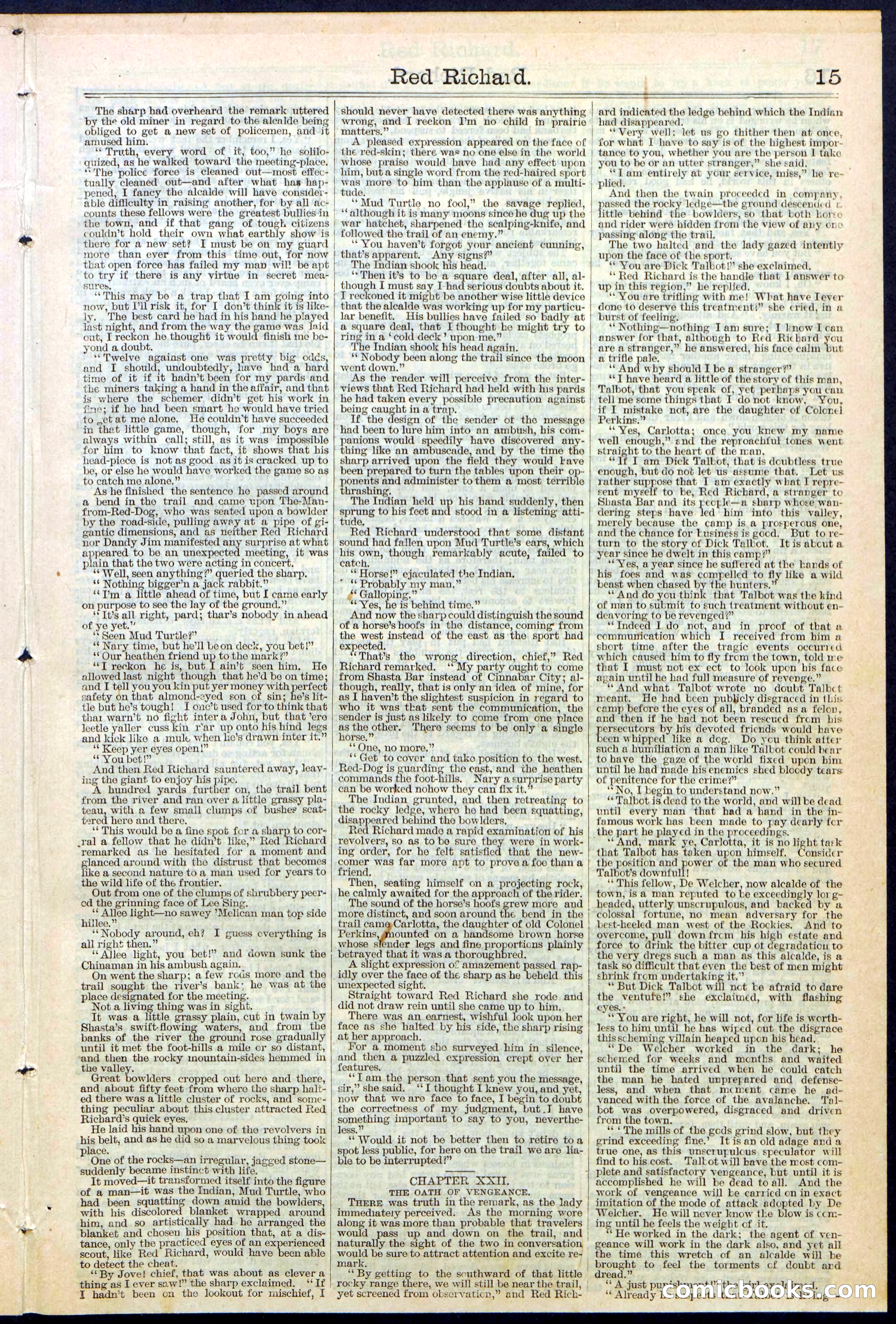 Beadle's New York Dime Library No. 354 — page 15 of 24