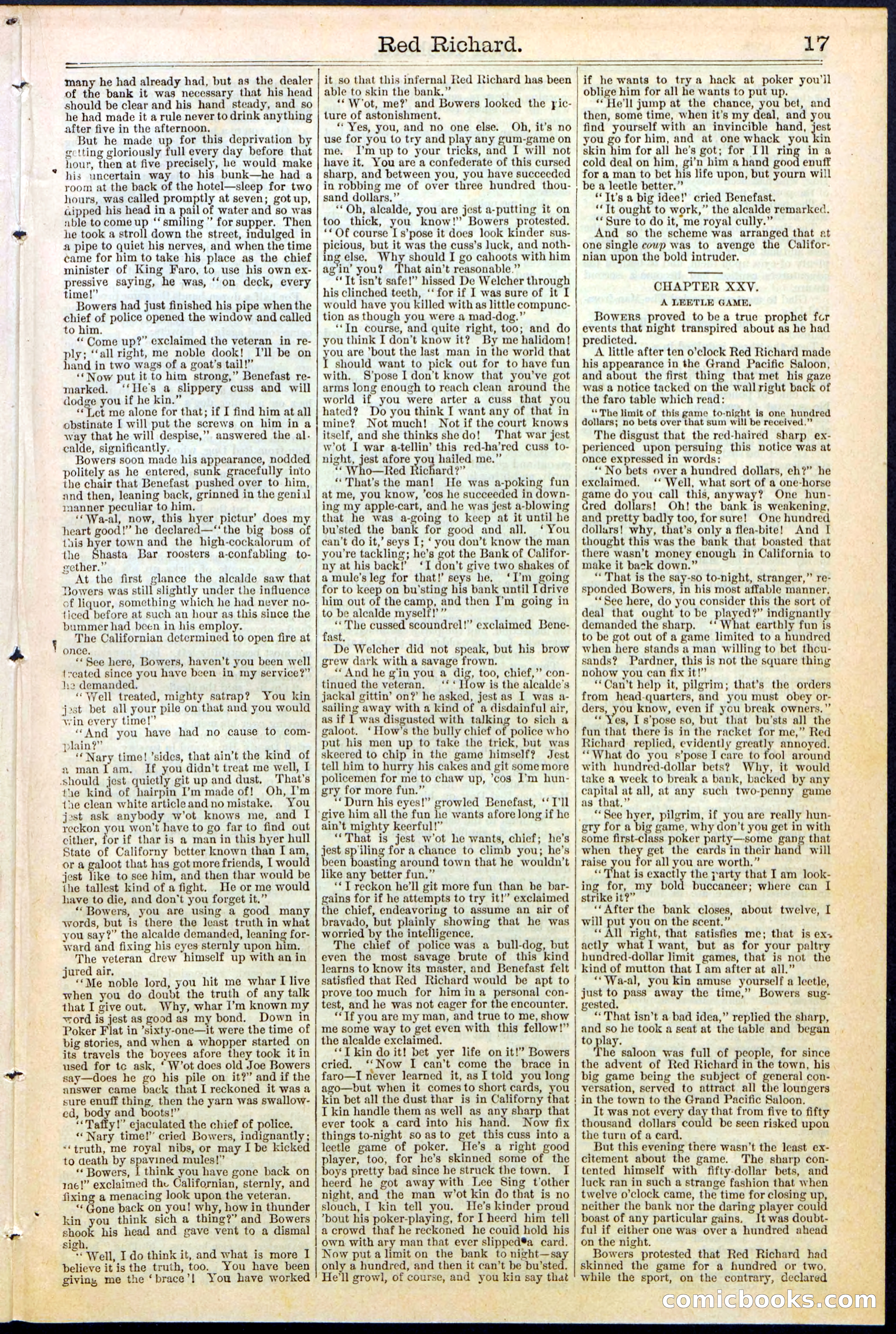 Beadle's New York Dime Library No. 354 — page 17 of 24