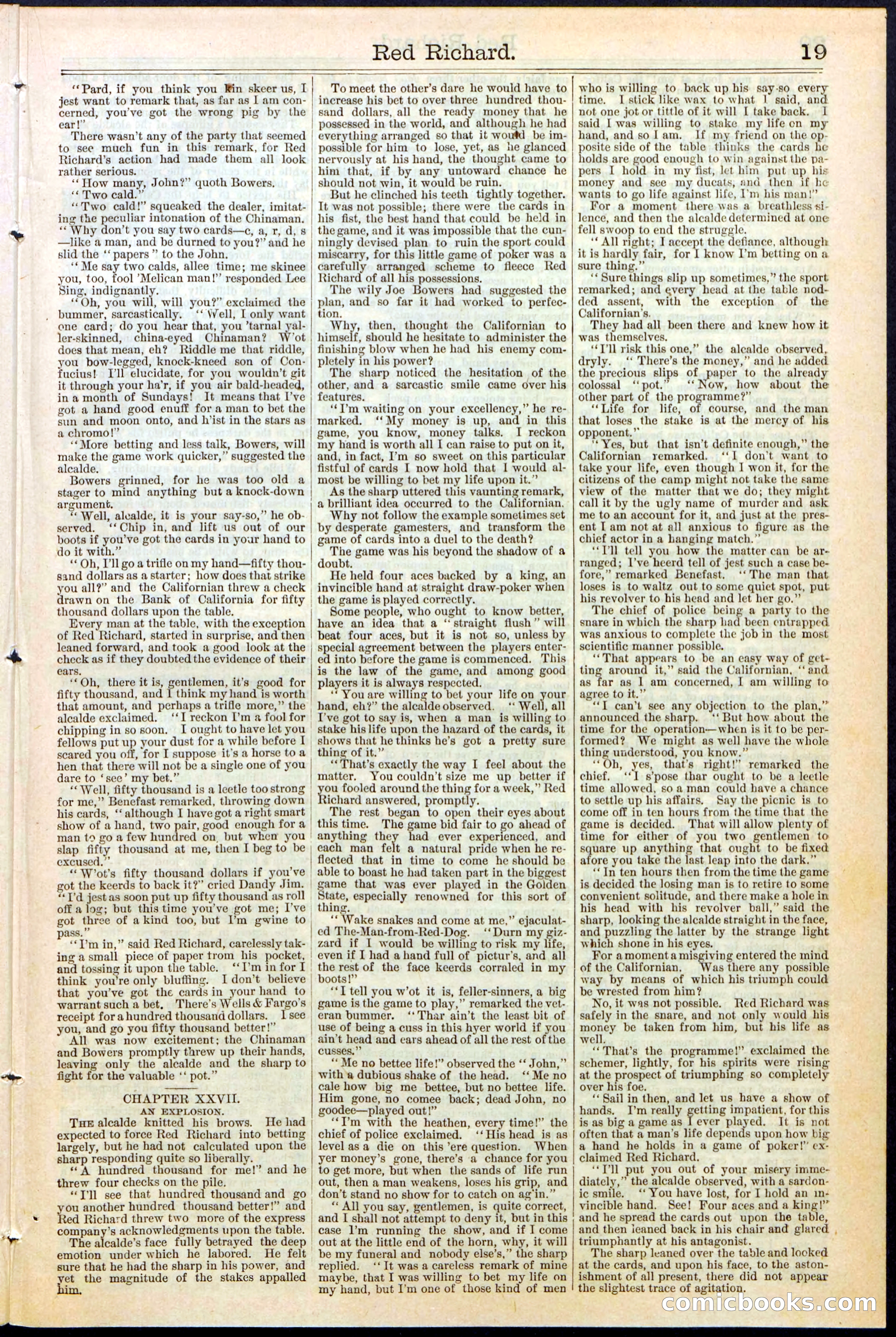 Beadle's New York Dime Library No. 354 — page 19 of 24