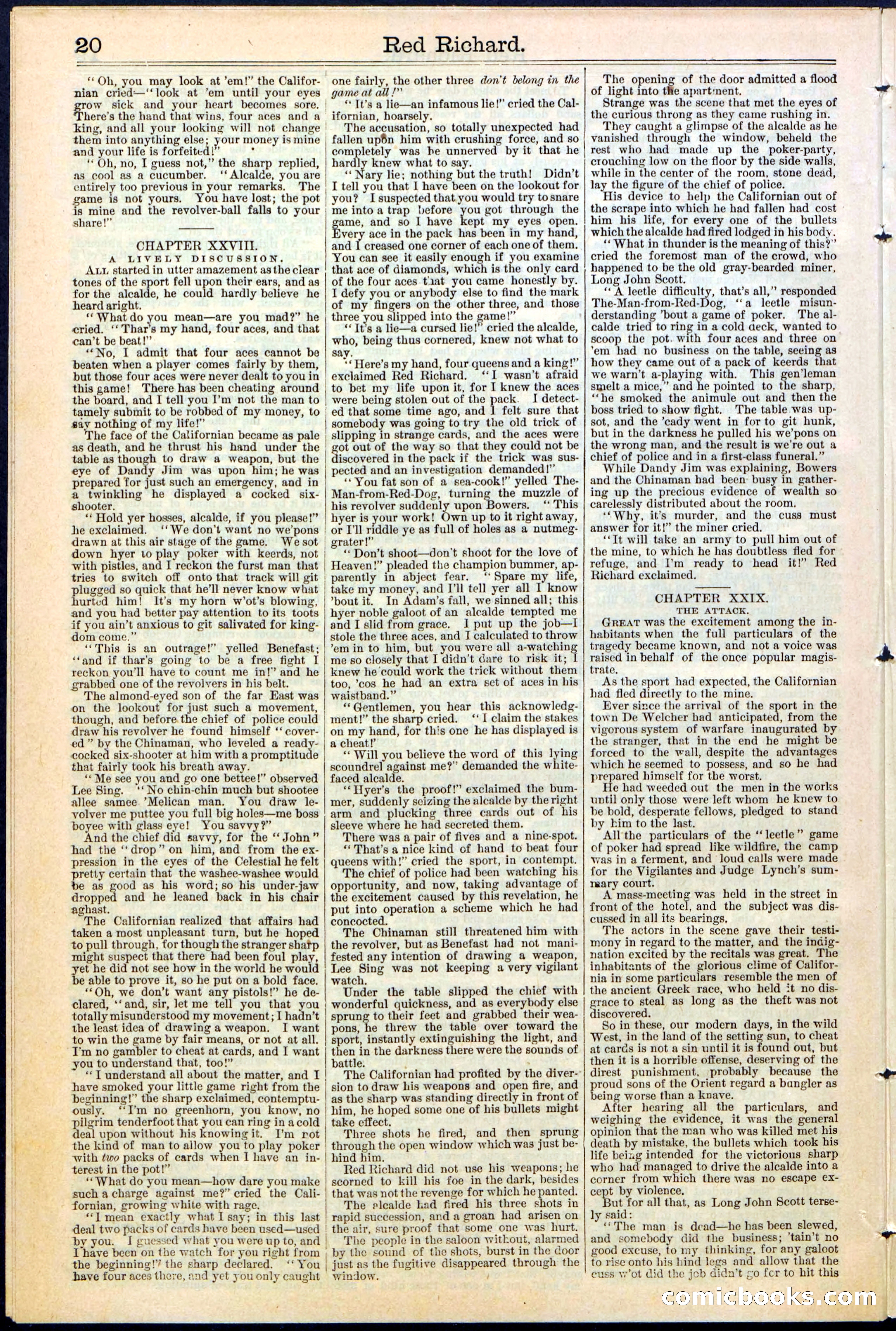 Beadle's New York Dime Library No. 354 — page 20 of 24