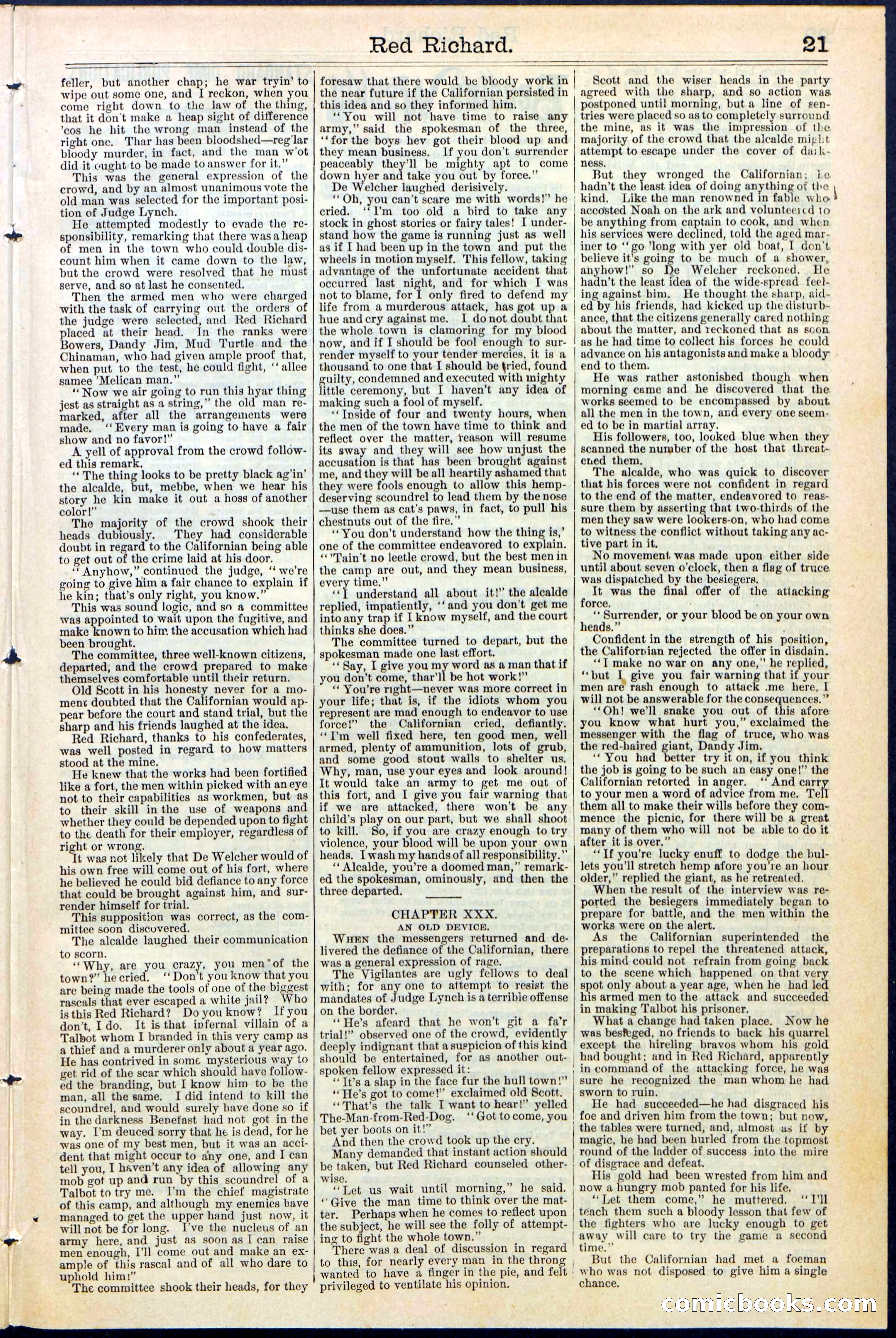 Beadle's New York Dime Library No. 354 — page 21 of 24
