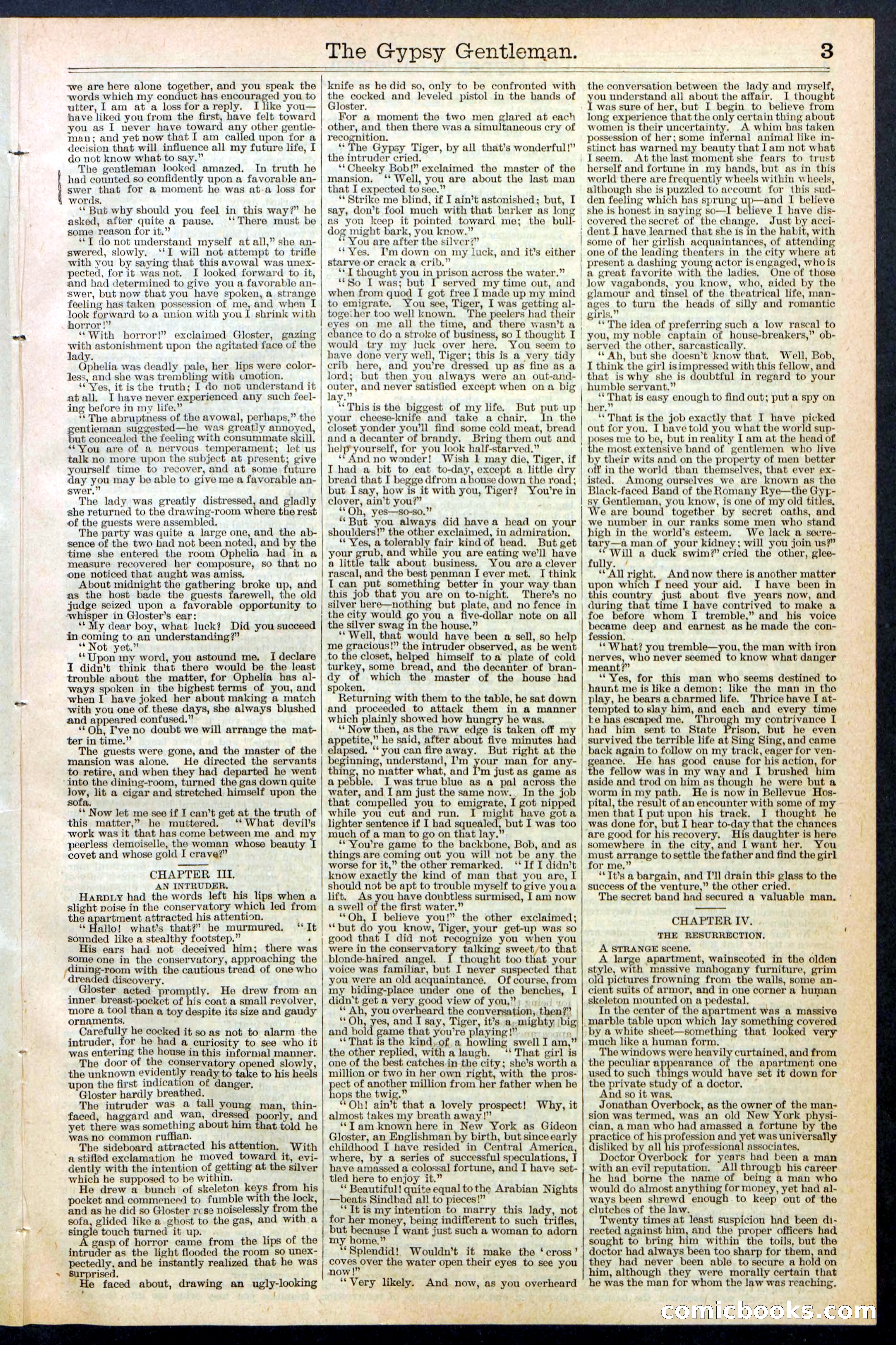 The Gypsy Gentleman (Beadle's New York Dime Library, No. 381) — page 3 of 32