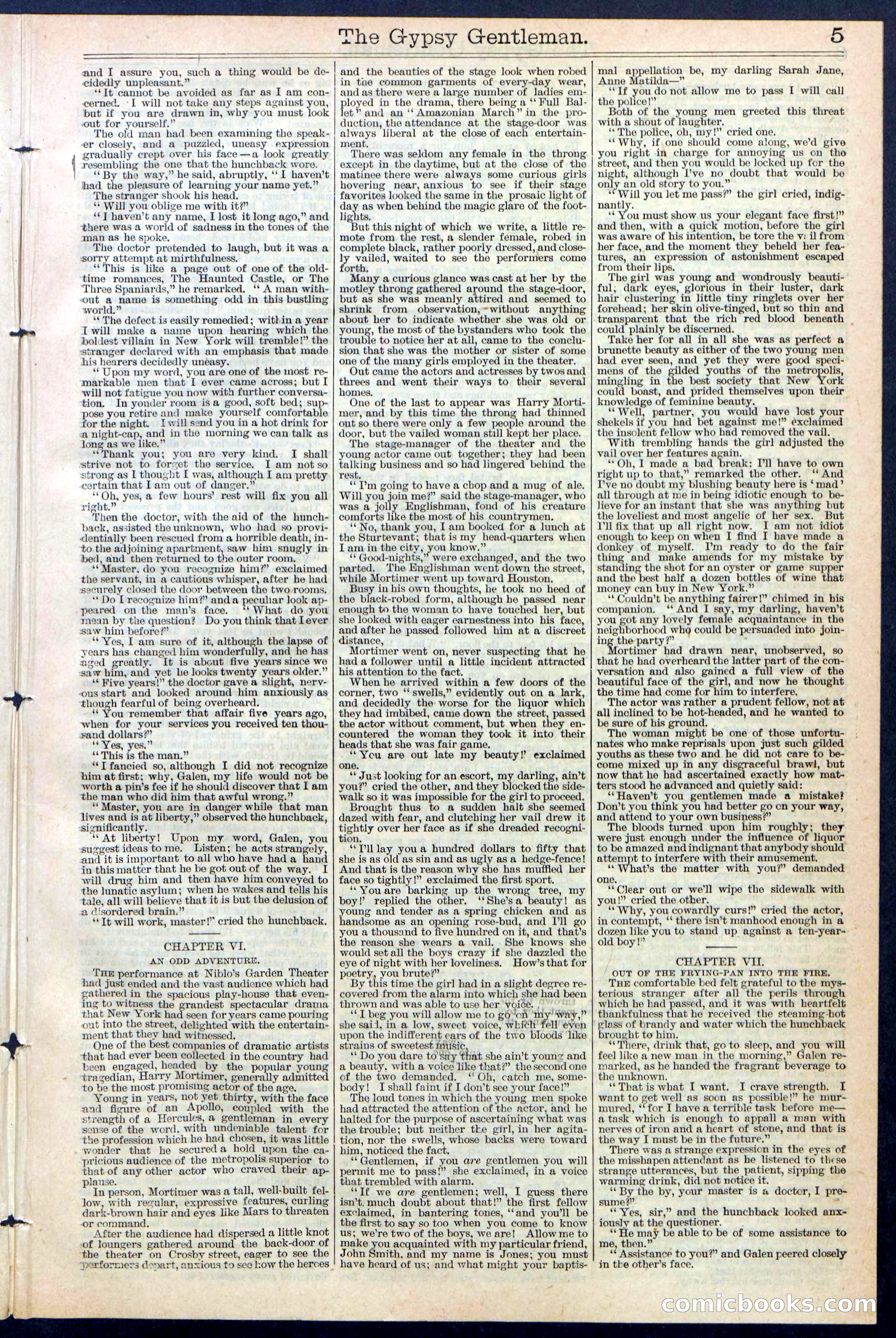 The Gypsy Gentleman (Beadle's New York Dime Library, No. 381) — page 5 of 32