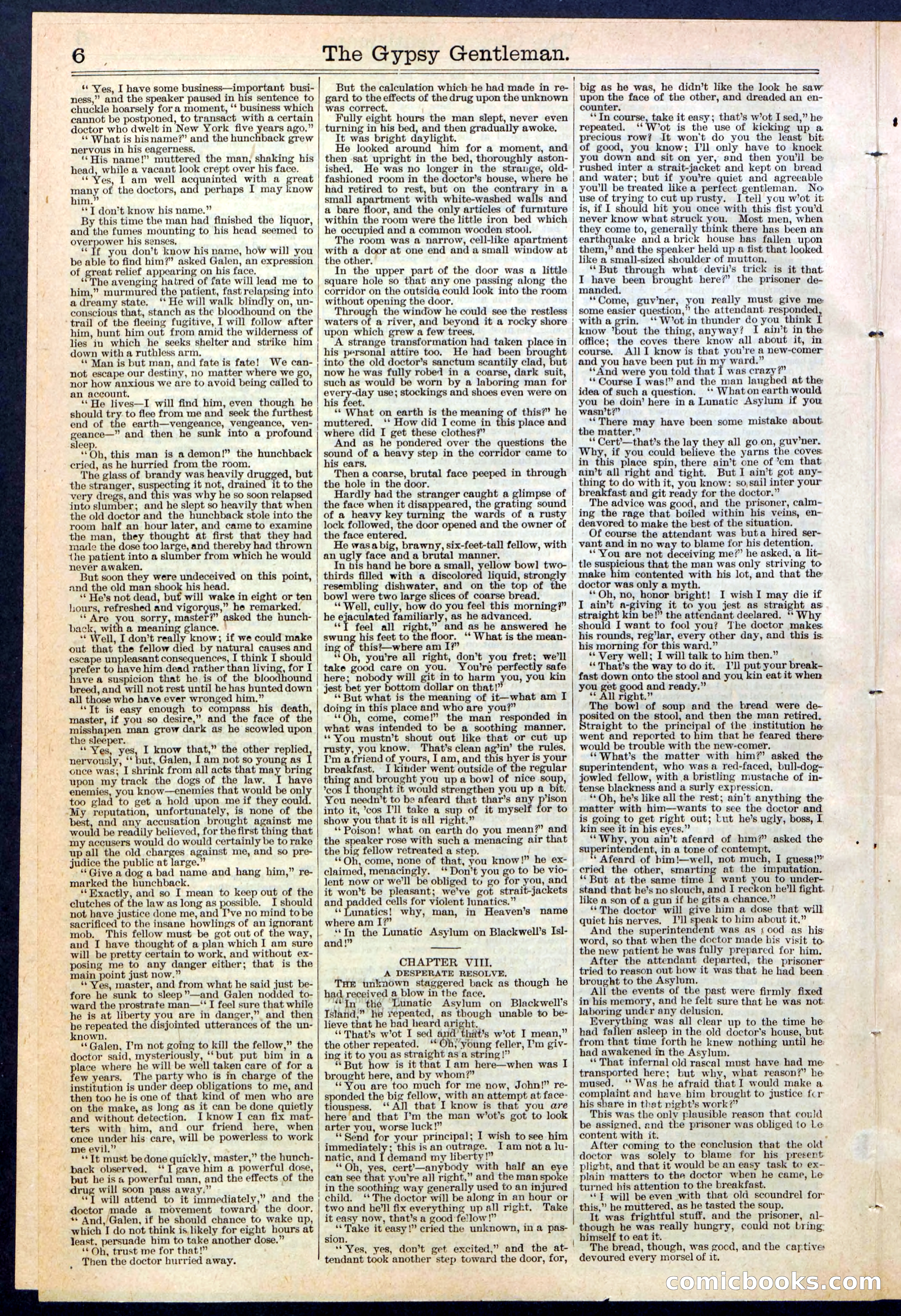 The Gypsy Gentleman (Beadle's New York Dime Library, No. 381) — page 6 of 32