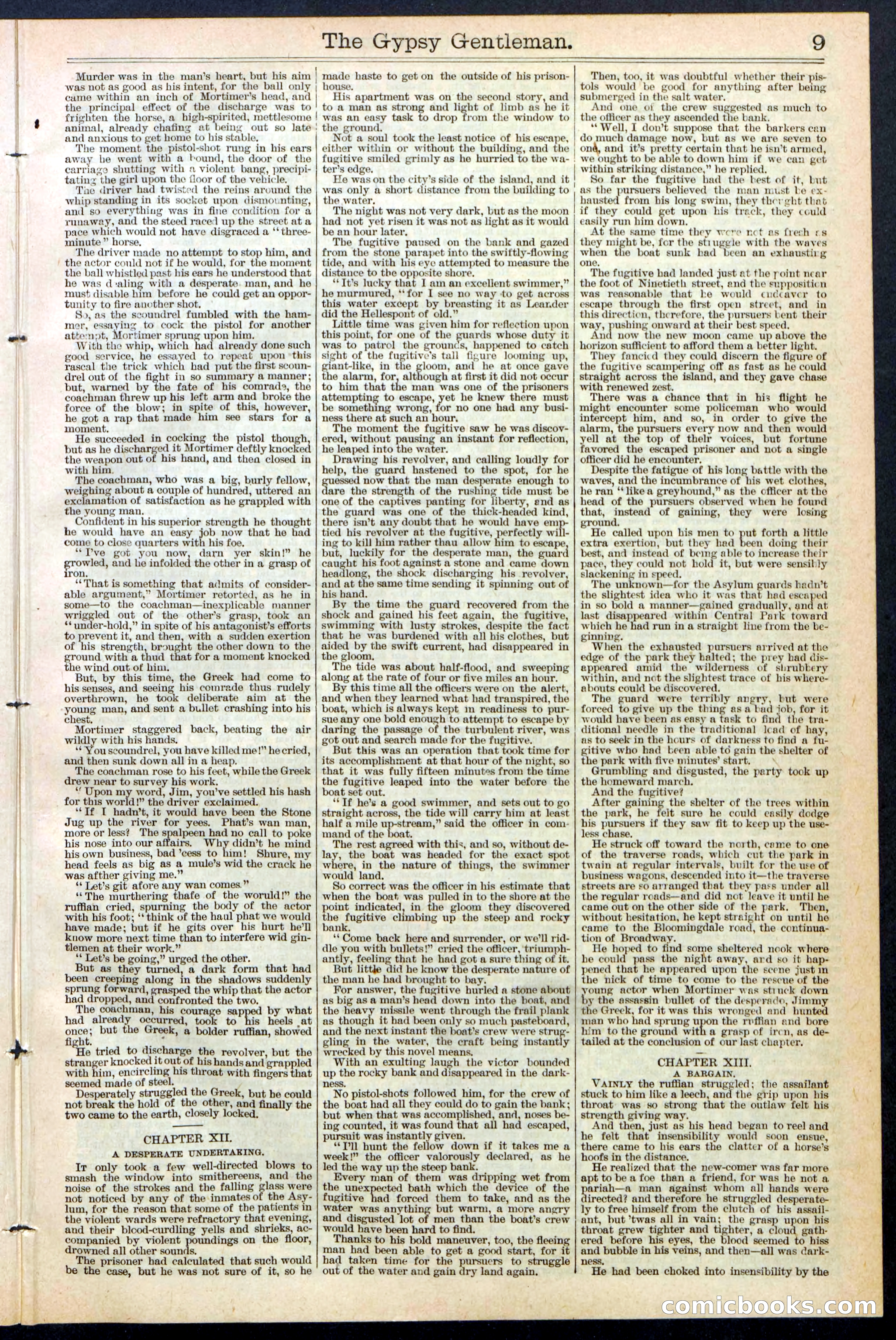The Gypsy Gentleman (Beadle's New York Dime Library, No. 381) — page 9 of 32