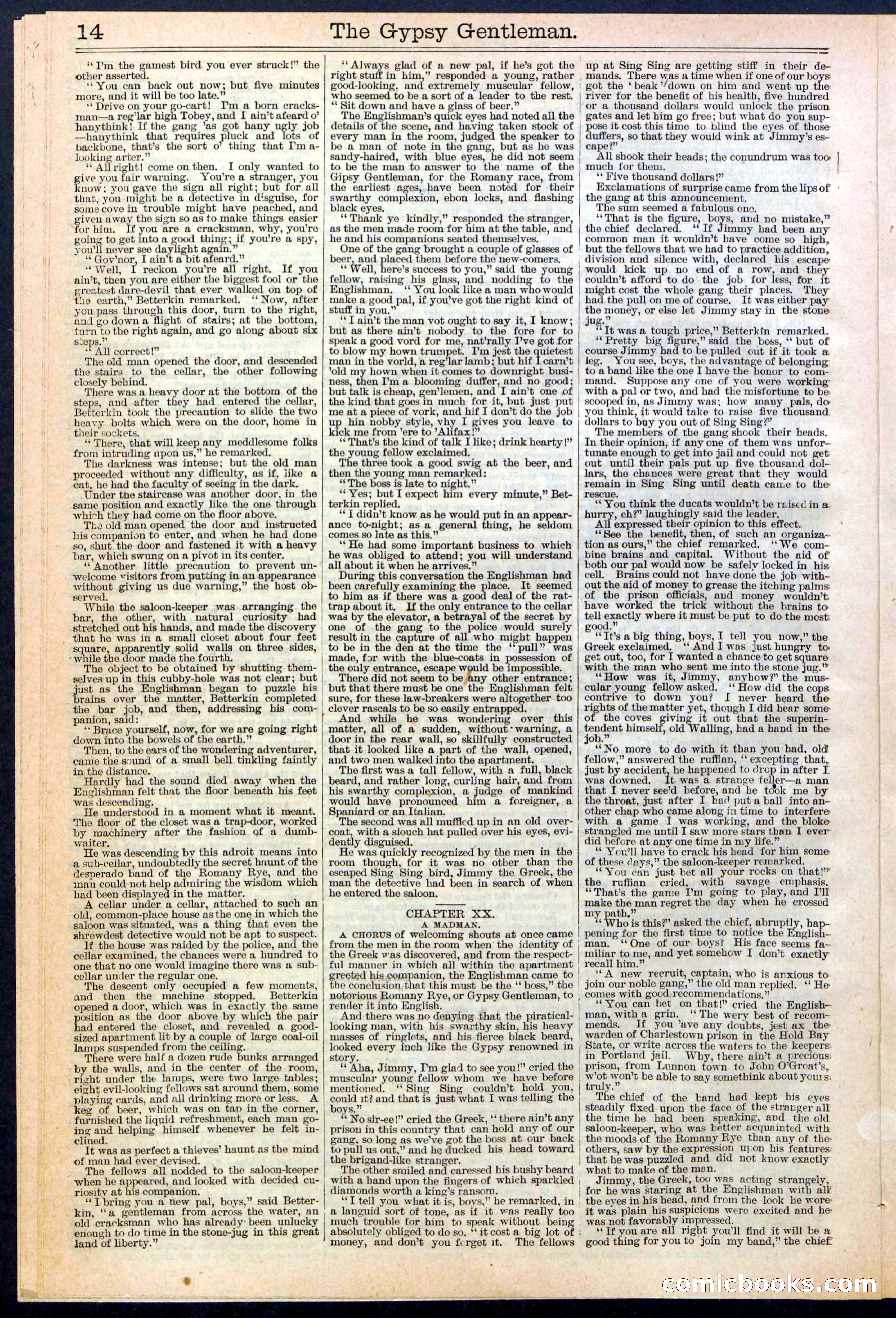 The Gypsy Gentleman (Beadle's New York Dime Library, No. 381) — page 14 of 32