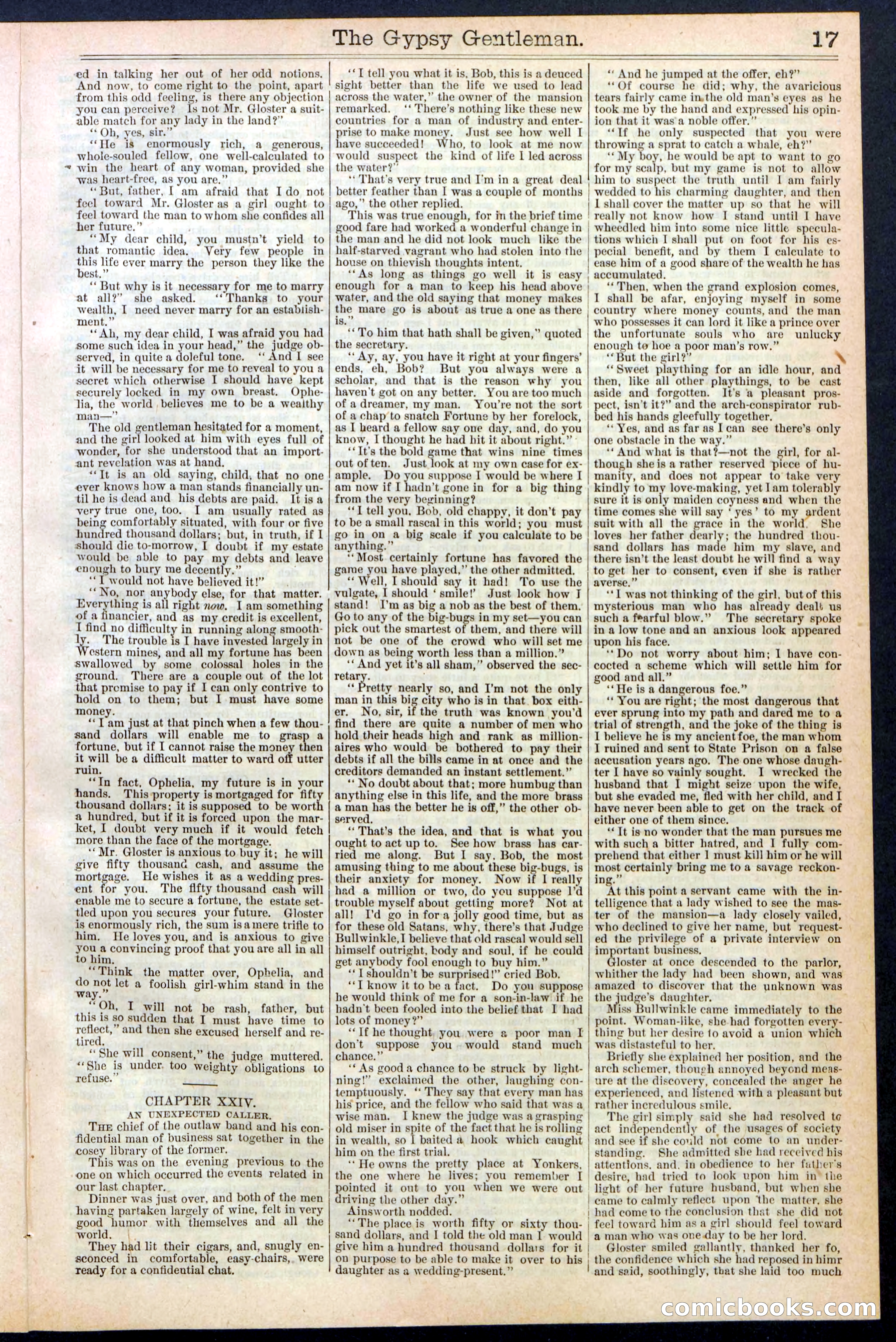 The Gypsy Gentleman (Beadle's New York Dime Library, No. 381) — page 17 of 32