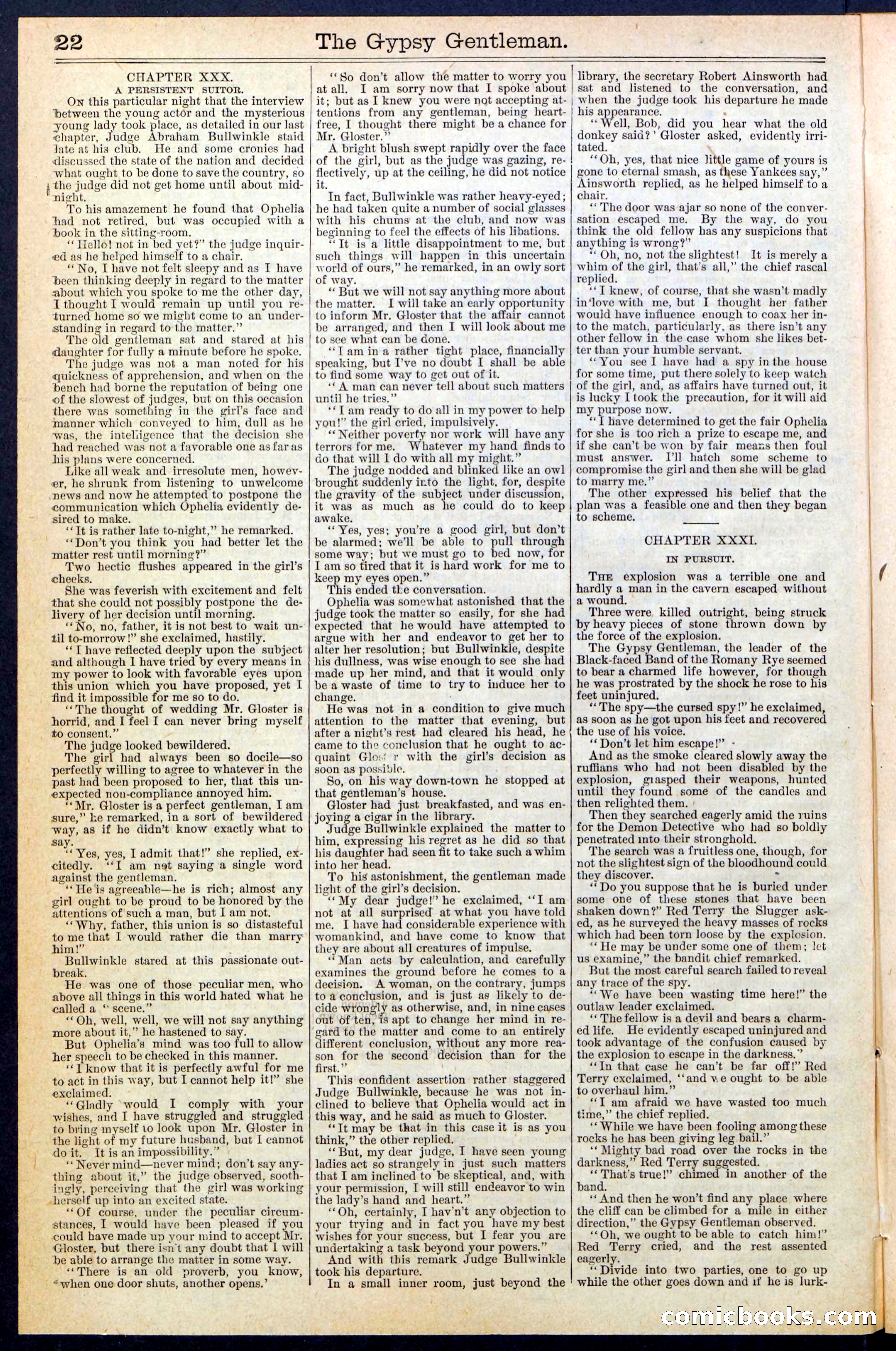 The Gypsy Gentleman (Beadle's New York Dime Library, No. 381) — page 22 of 32