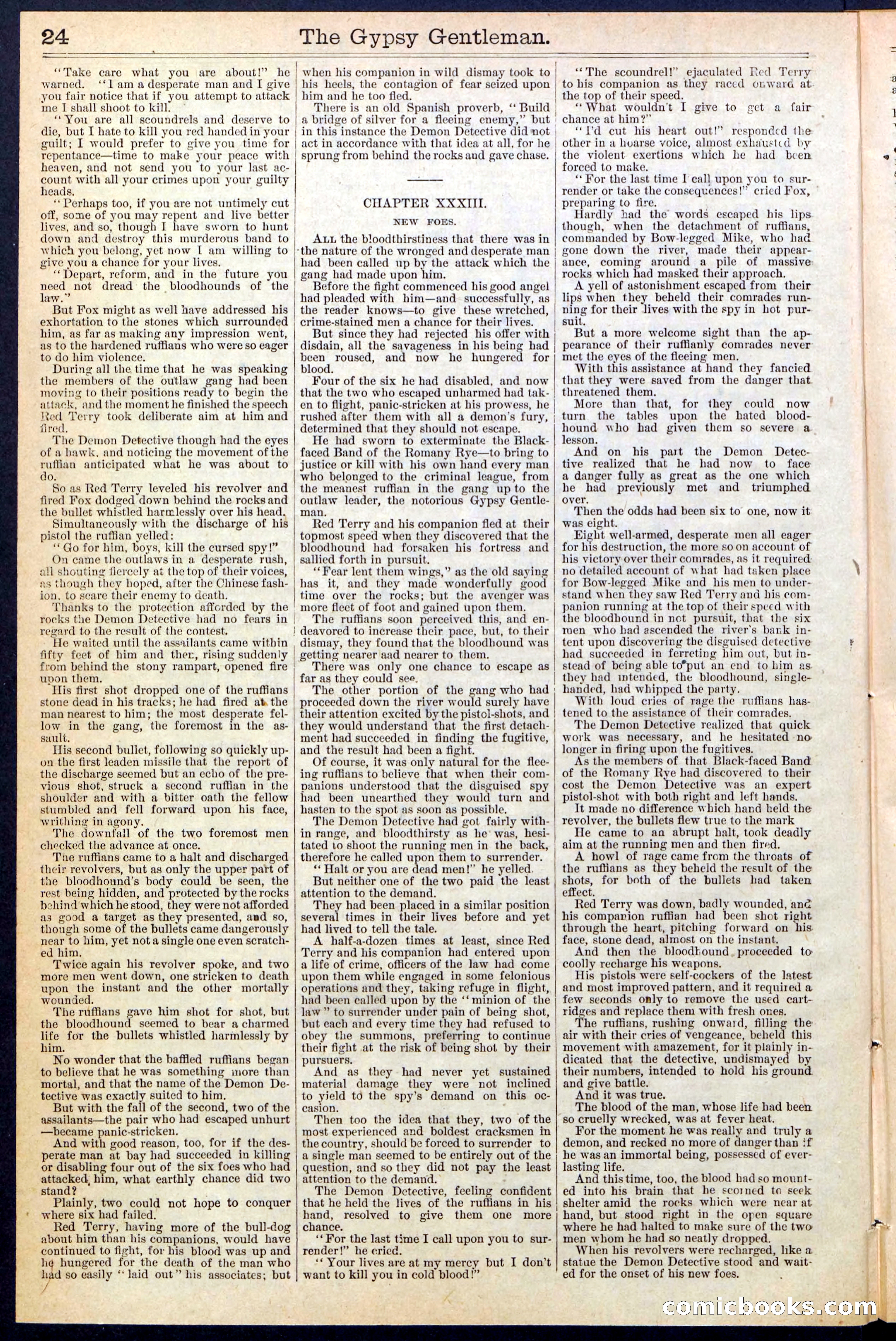 The Gypsy Gentleman (Beadle's New York Dime Library, No. 381) — page 24 of 32