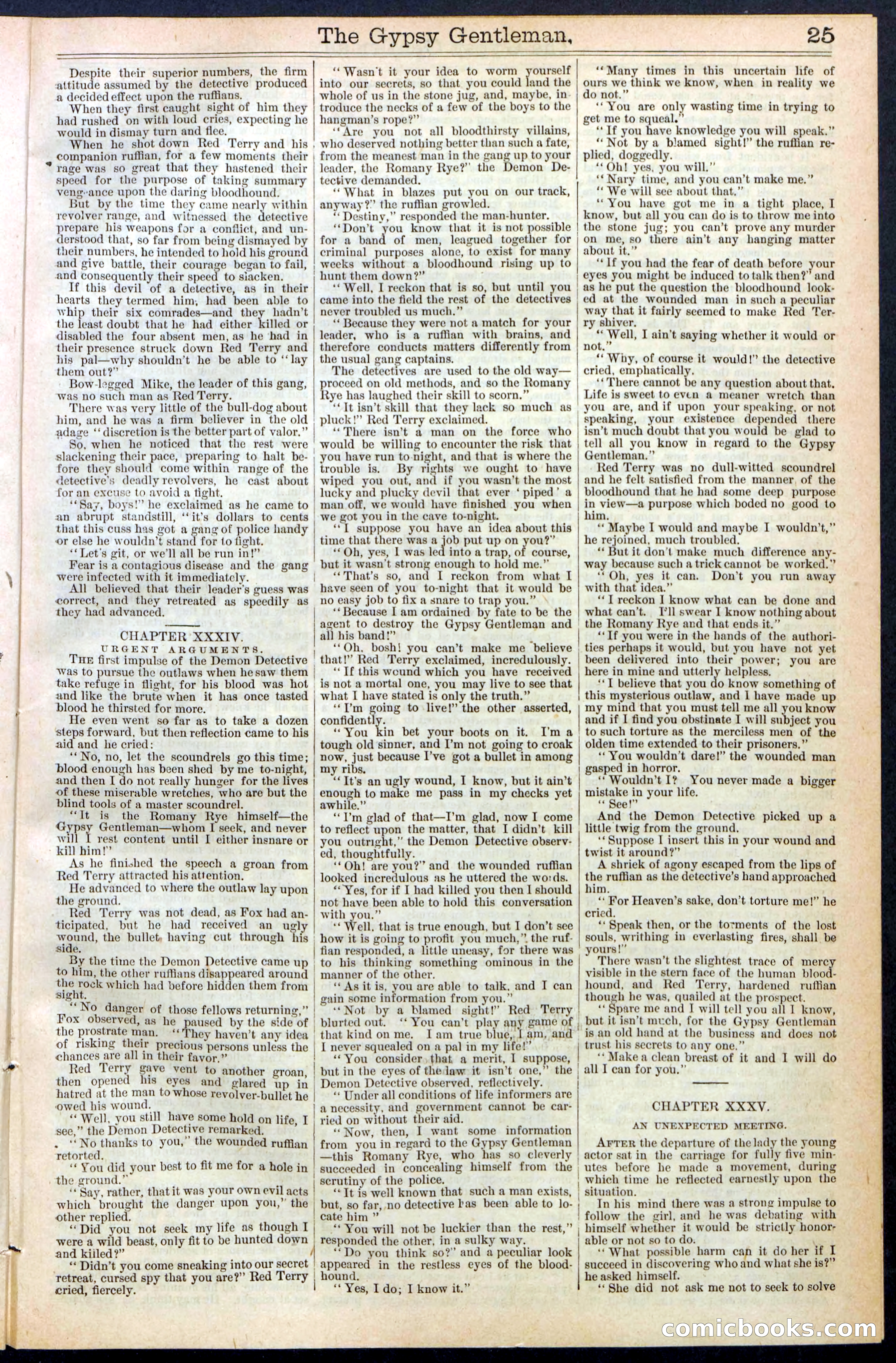 The Gypsy Gentleman (Beadle's New York Dime Library, No. 381) — page 25 of 32
