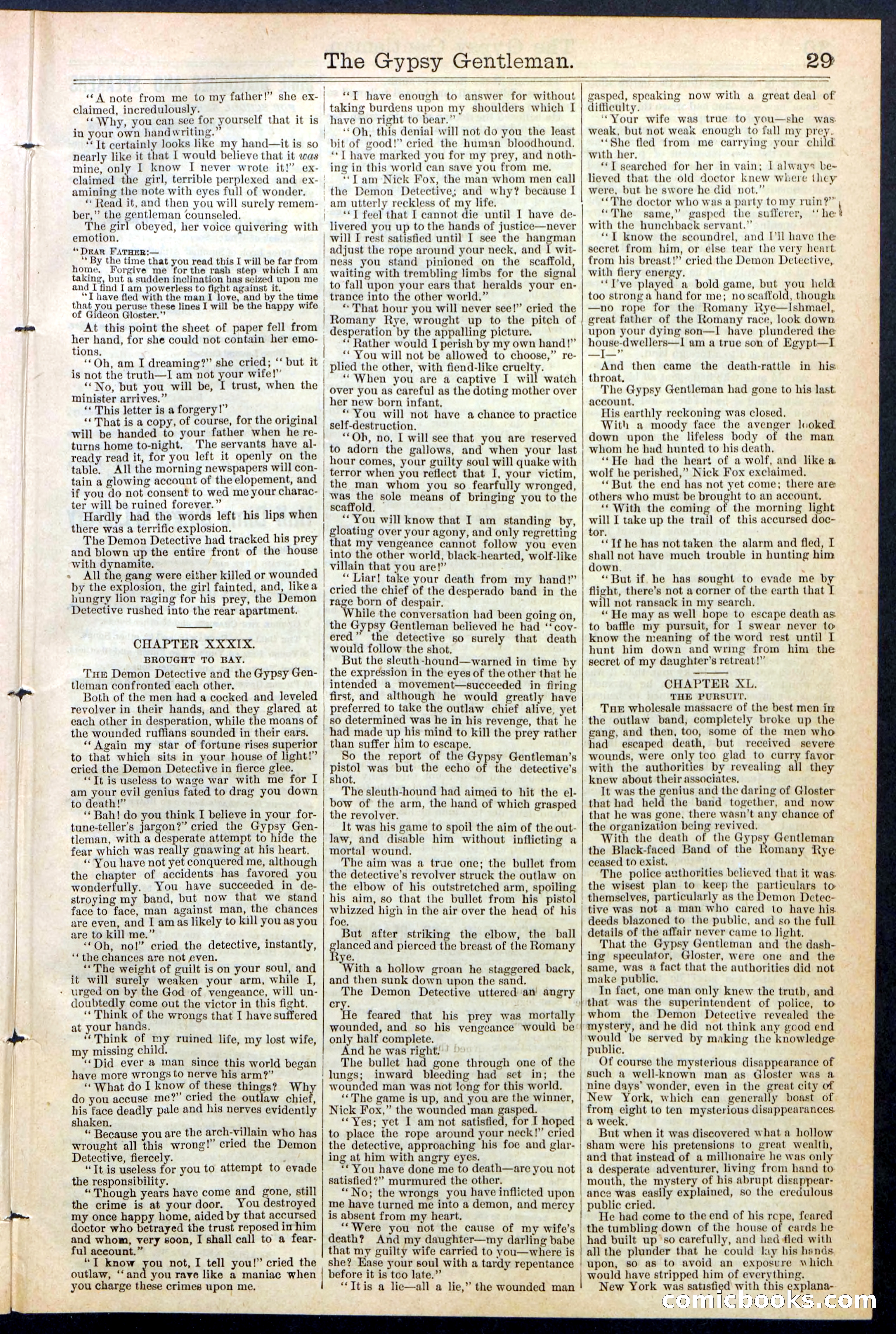The Gypsy Gentleman (Beadle's New York Dime Library, No. 381) — page 29 of 32