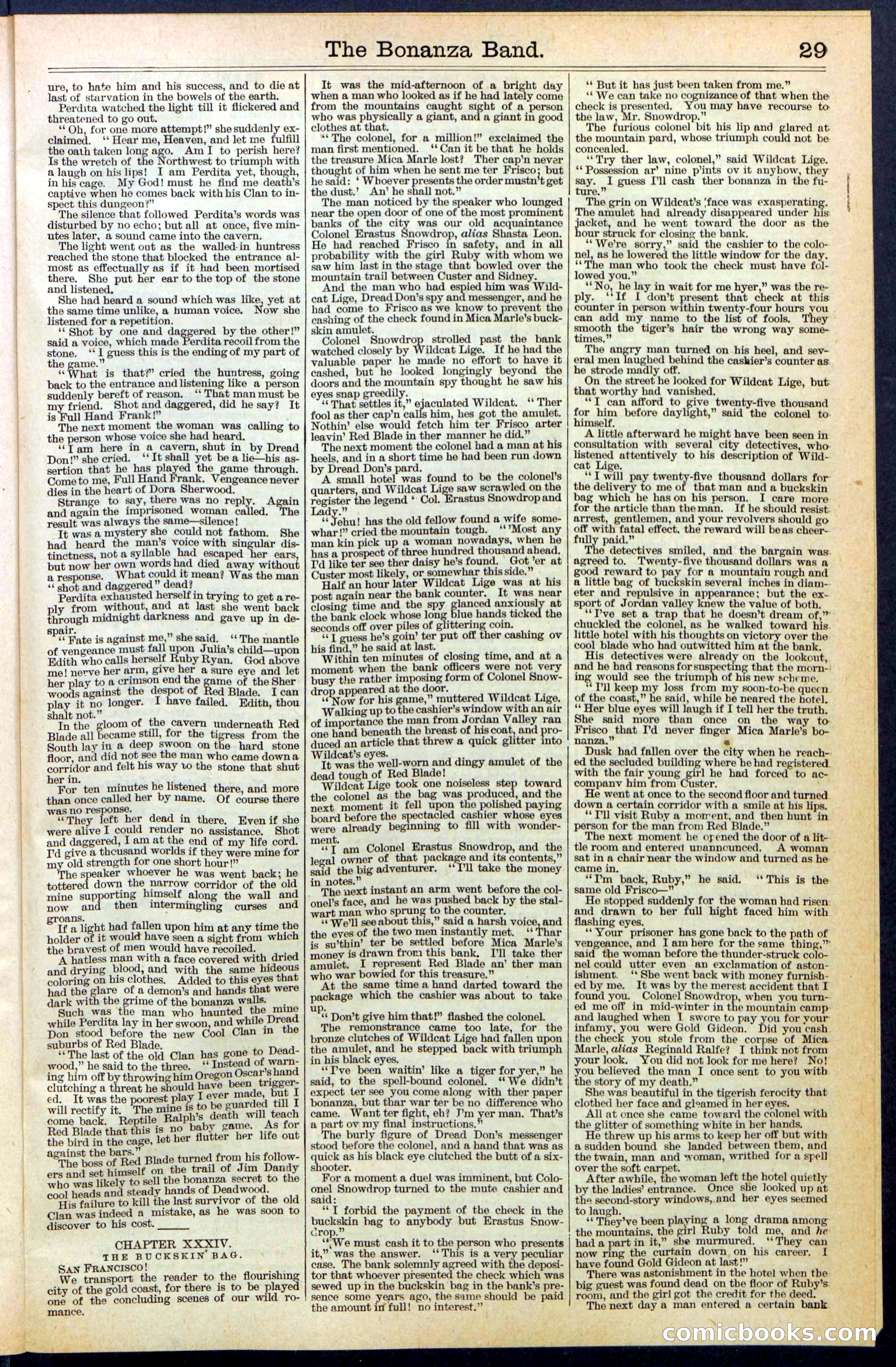 The Bonanza Band; or, Dread Don, of the Cool Clan — page 29 of 32