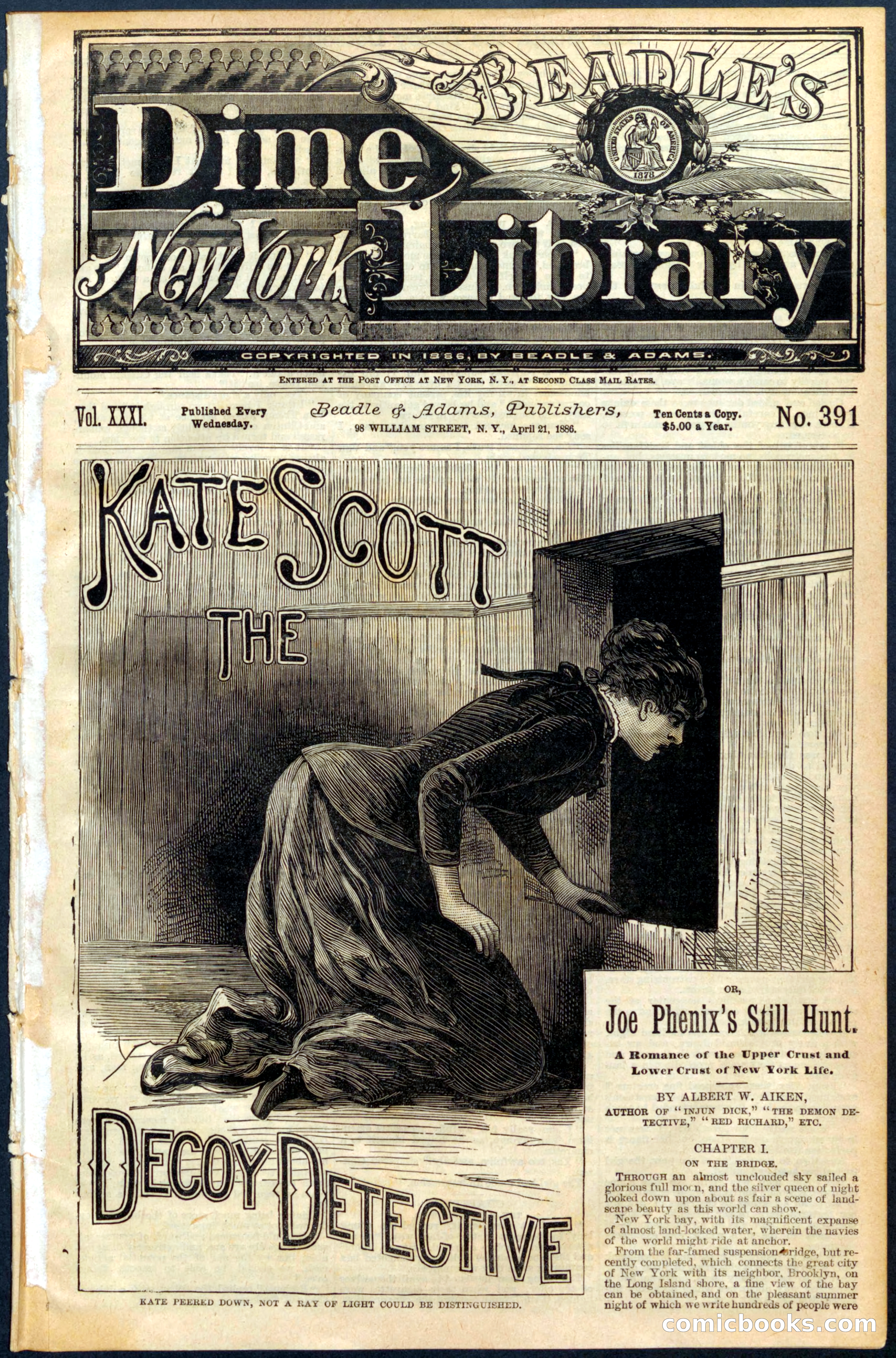 Beadle's Dime Library No. 391