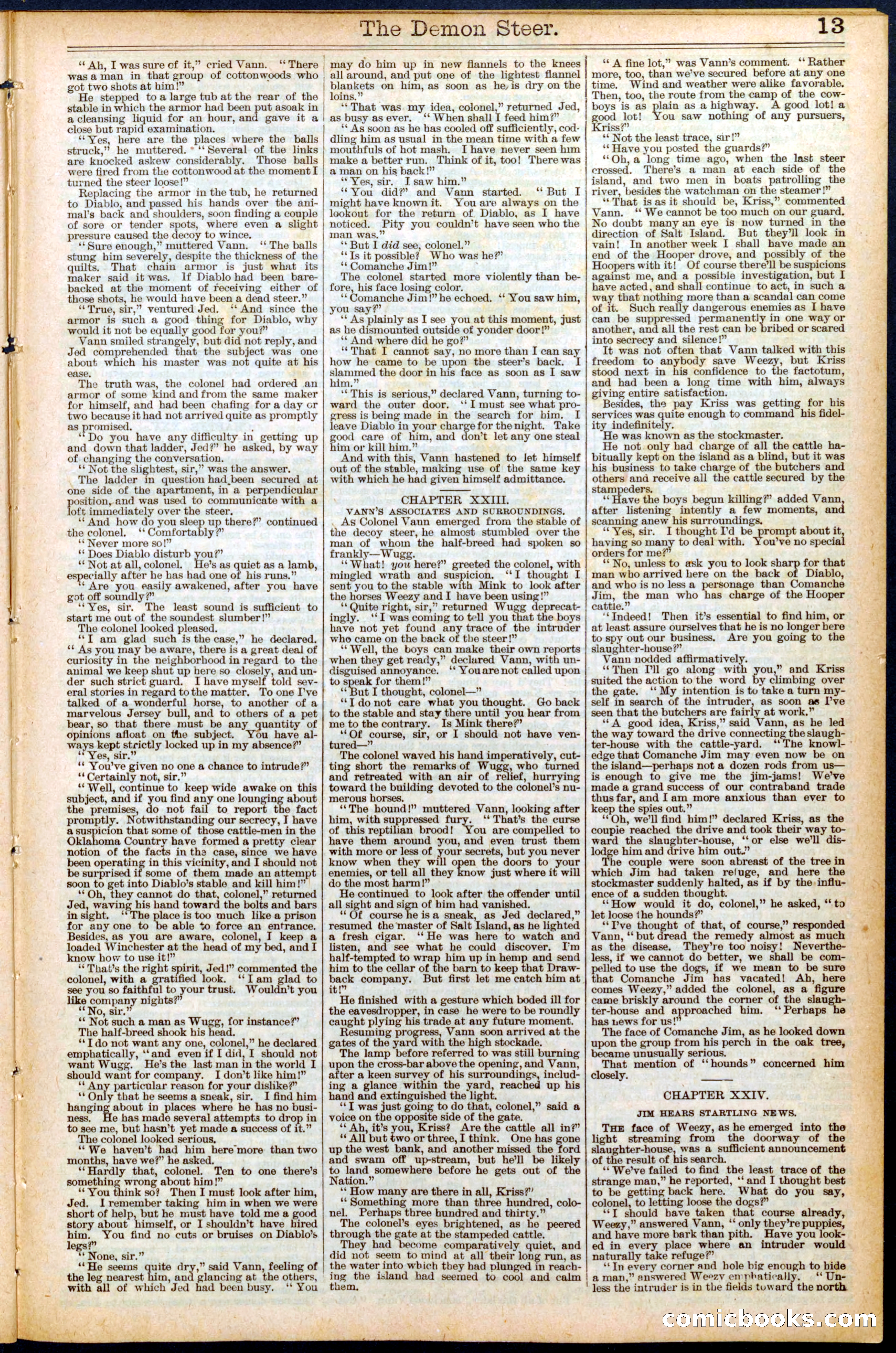 The Demon Steer: The Outlaws on the Abilene Cattle Trail — page 13 of 32