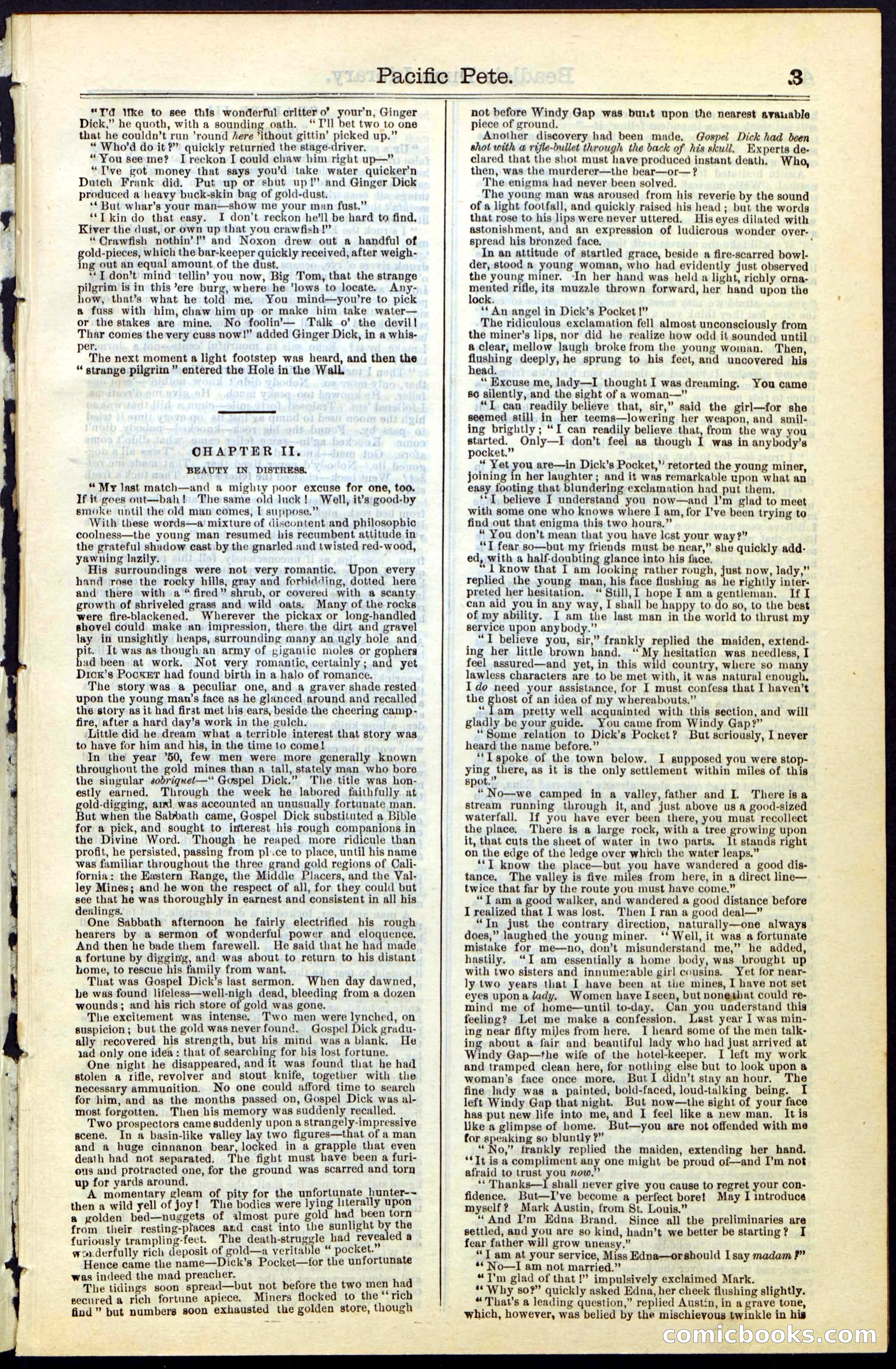 Beadle's Dime New York Library No. 47 — page 3 of 40