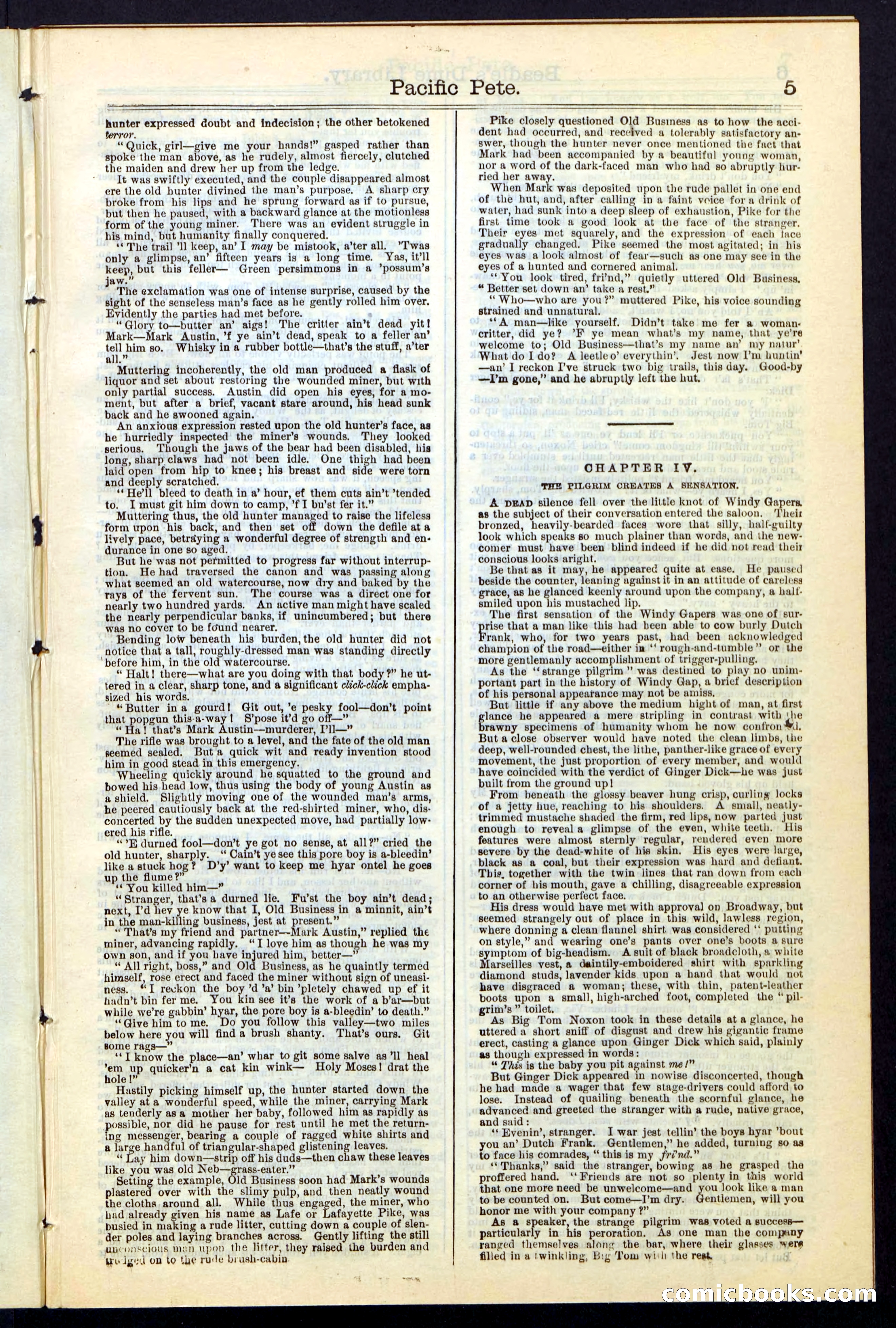 Beadle's Dime New York Library No. 47 — page 5 of 40