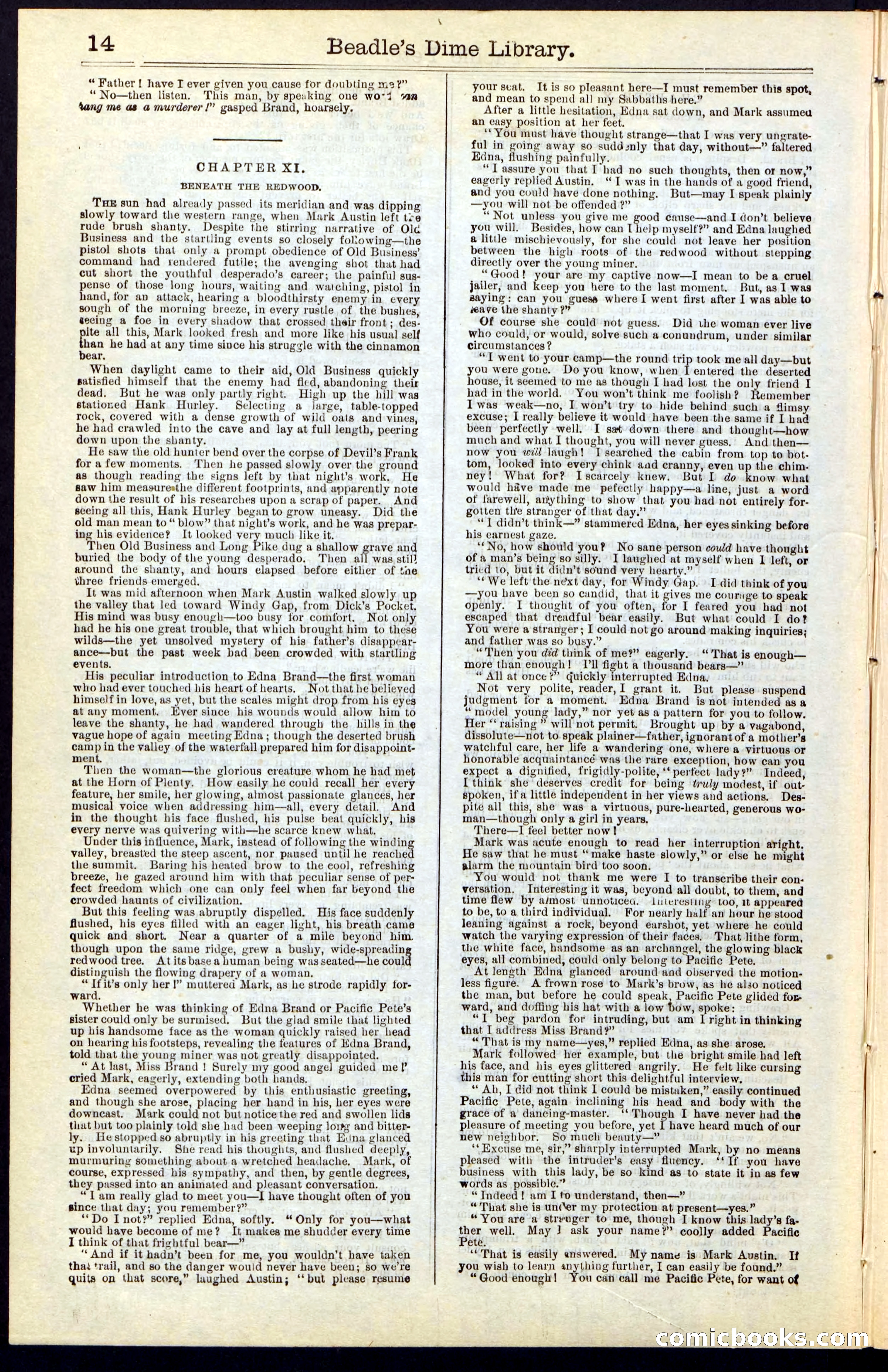 Beadle's Dime New York Library No. 47 — page 14 of 40