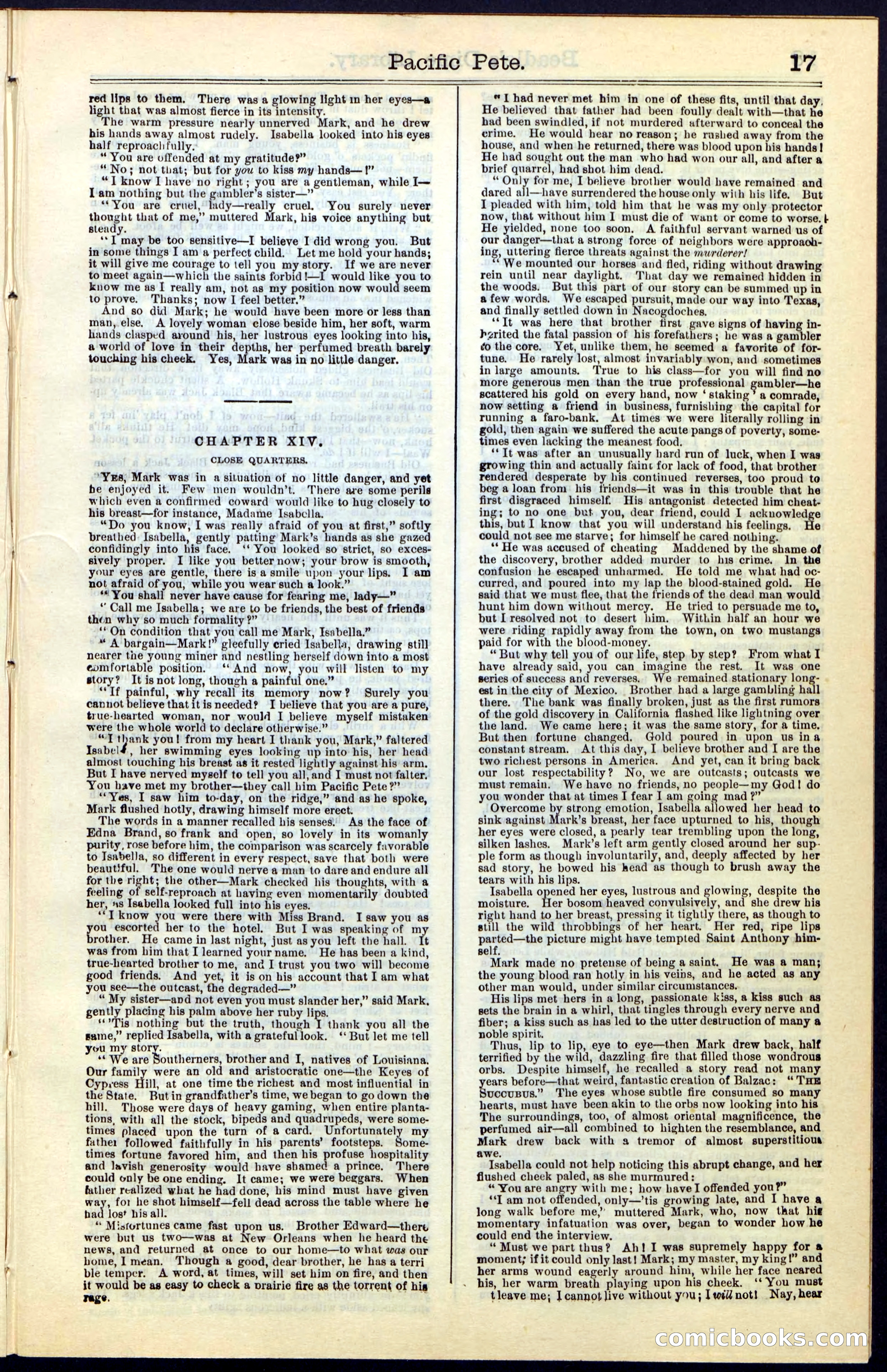 Beadle's Dime New York Library No. 47 — page 17 of 40