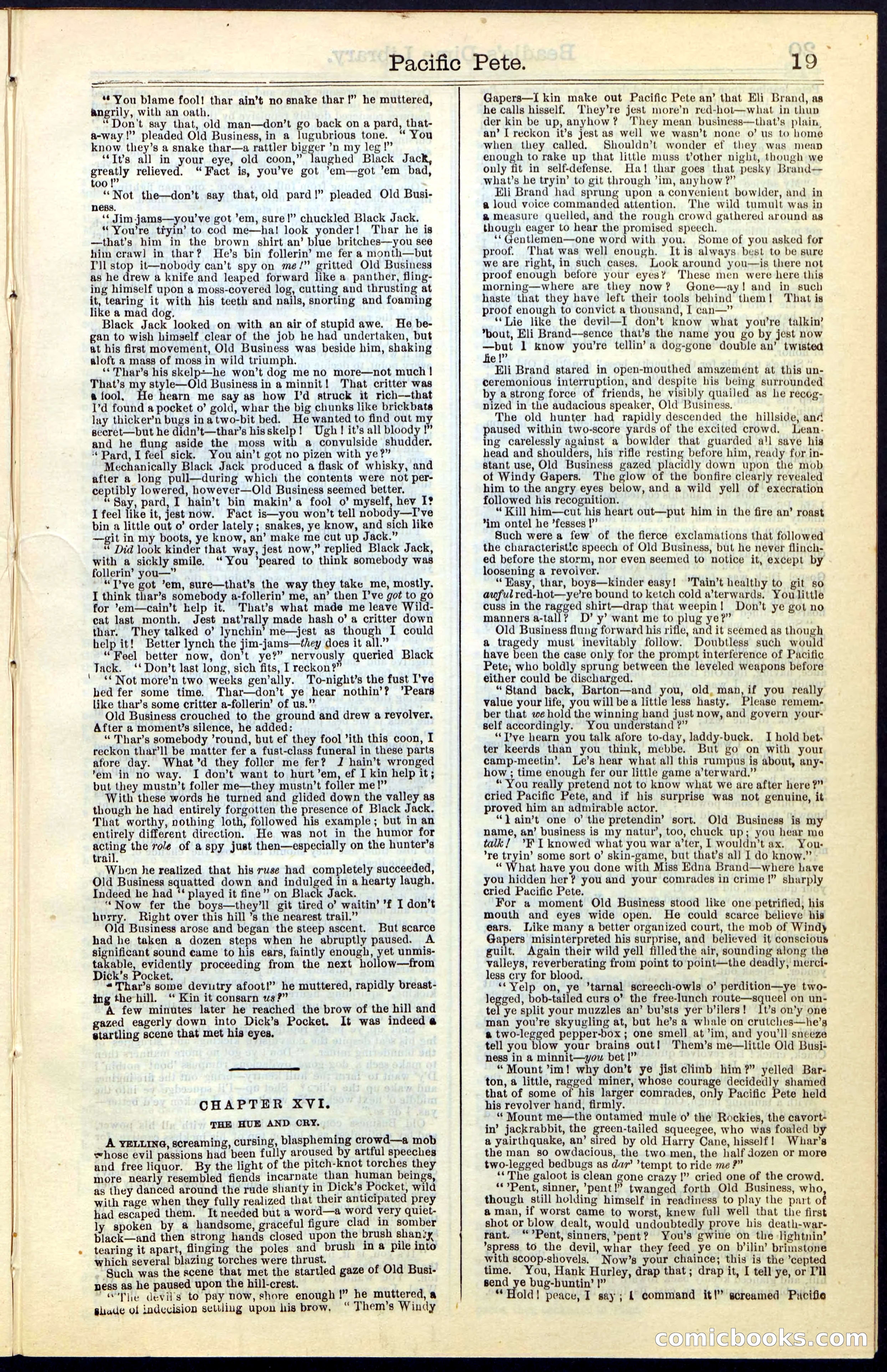 Beadle's Dime New York Library No. 47 — page 19 of 40