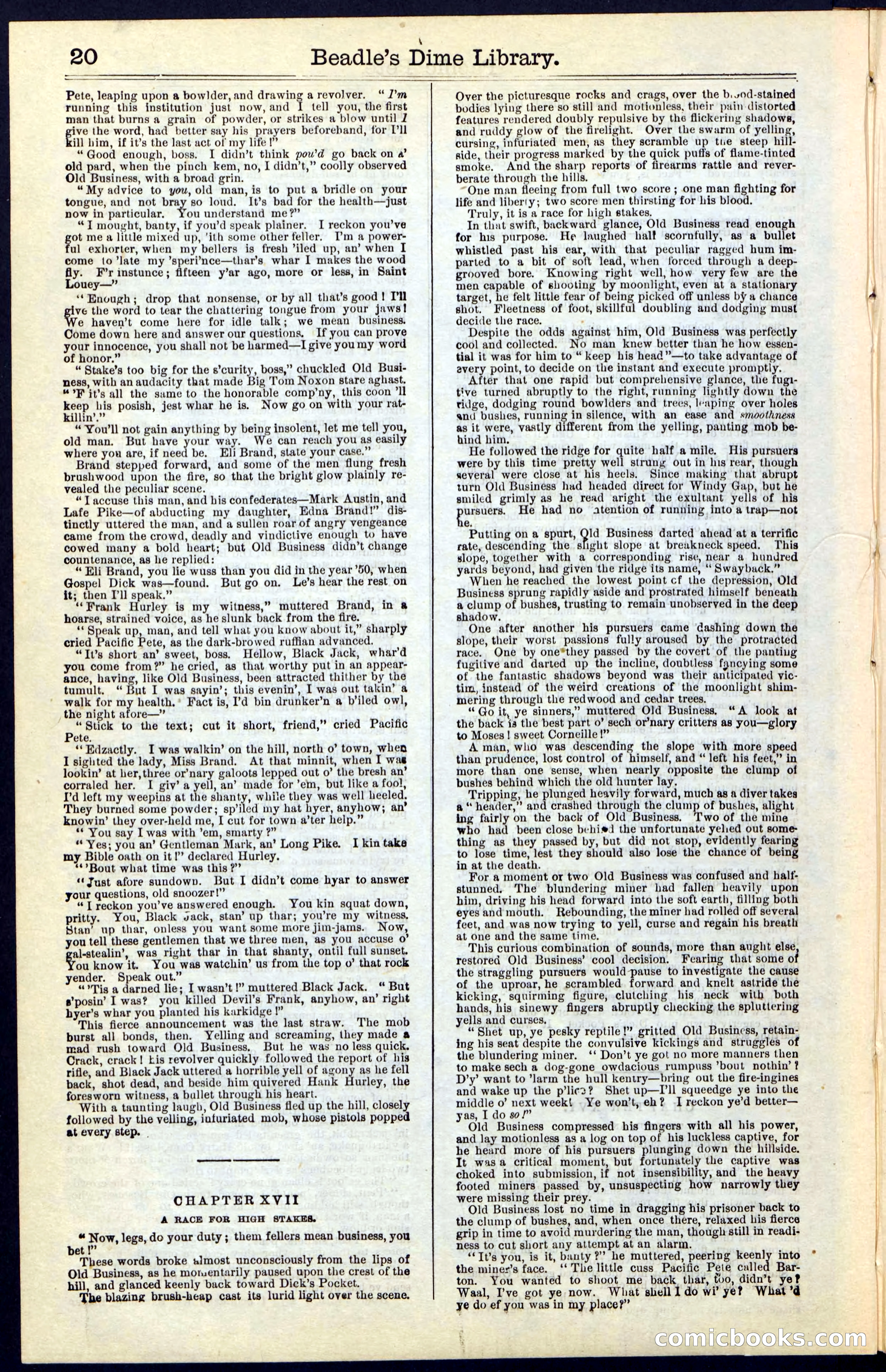 Beadle's Dime New York Library No. 47 — page 20 of 40
