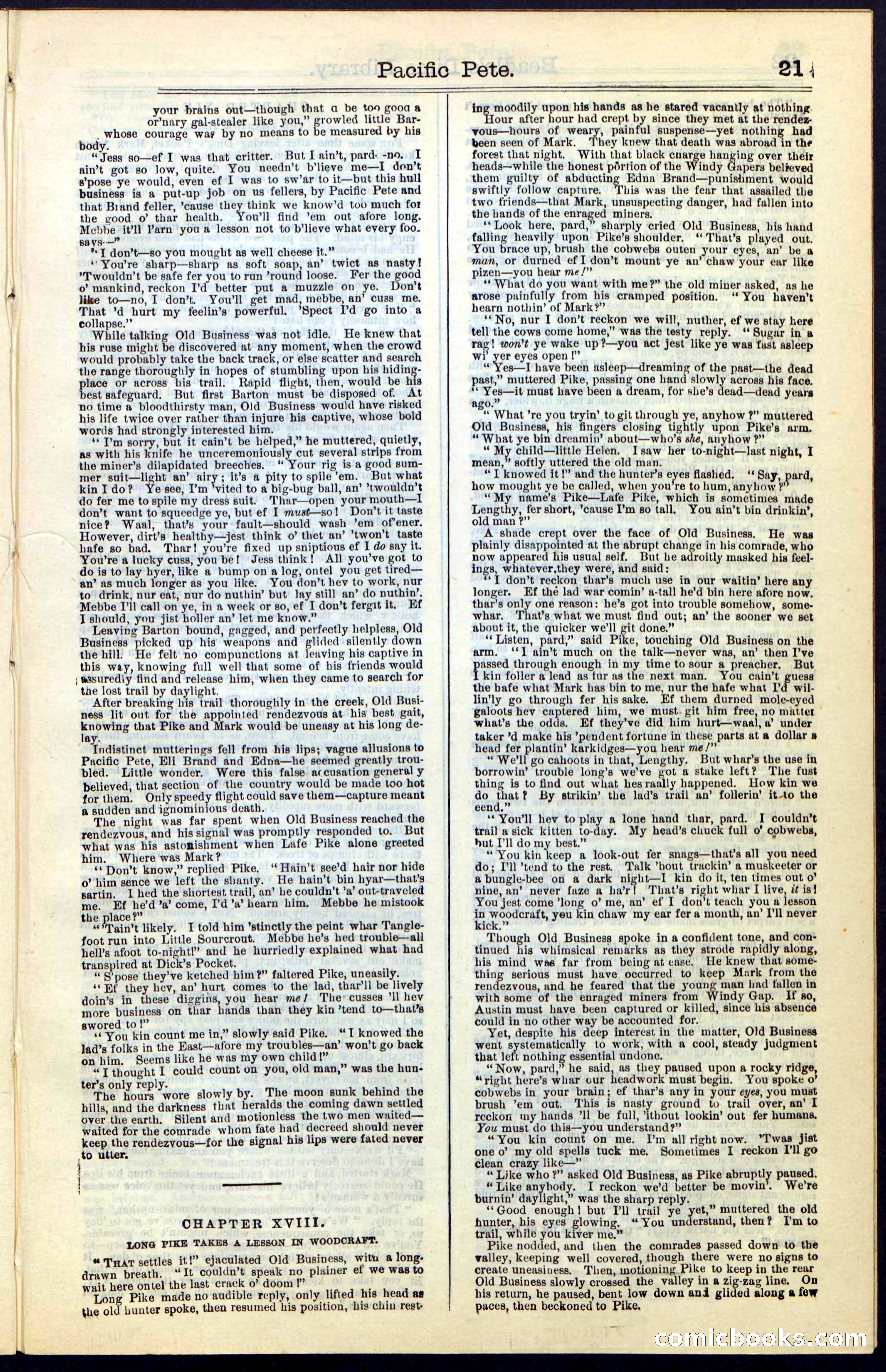 Beadle's Dime New York Library No. 47 — page 21 of 40