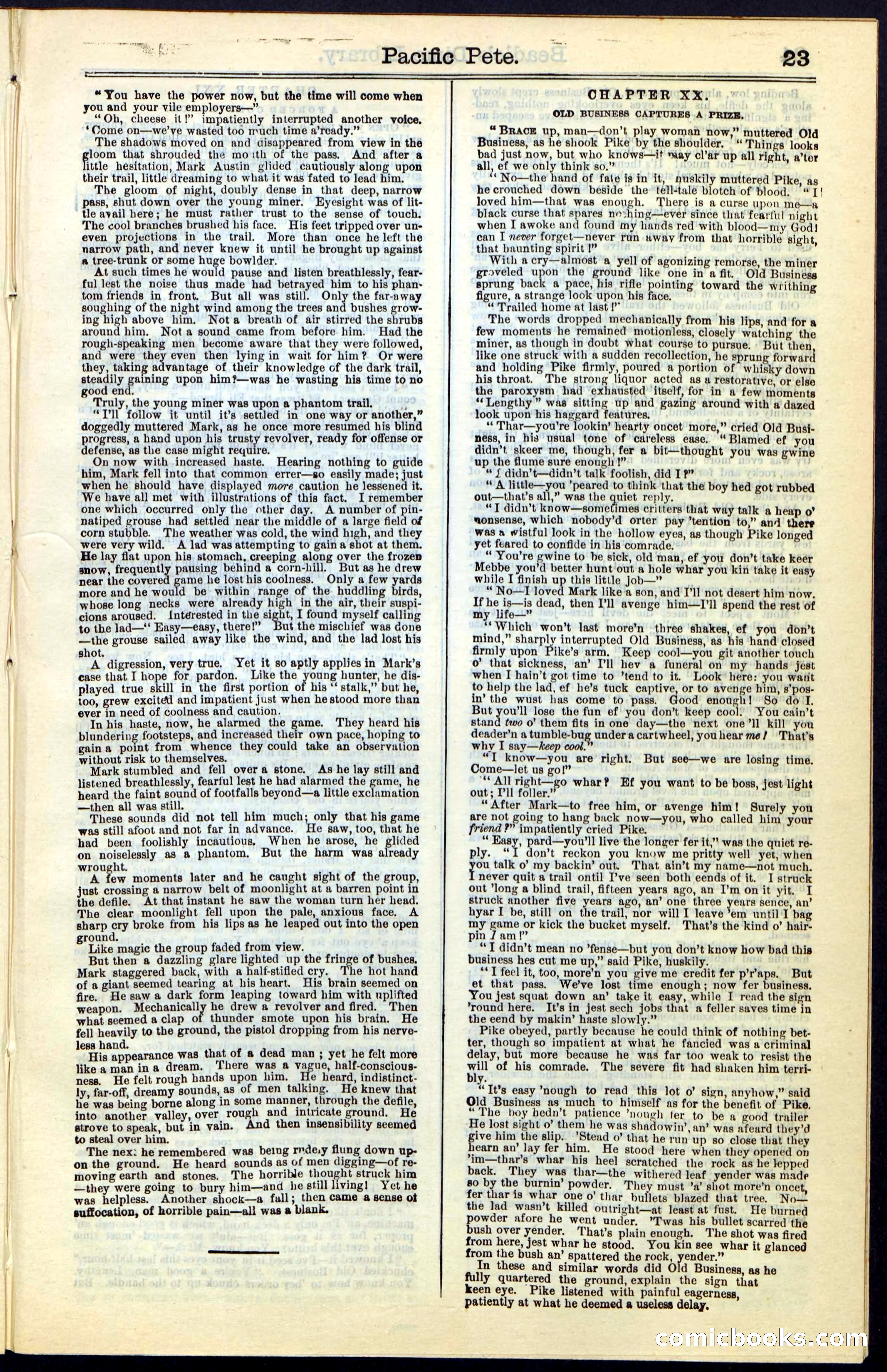 Beadle's Dime New York Library No. 47 — page 23 of 40