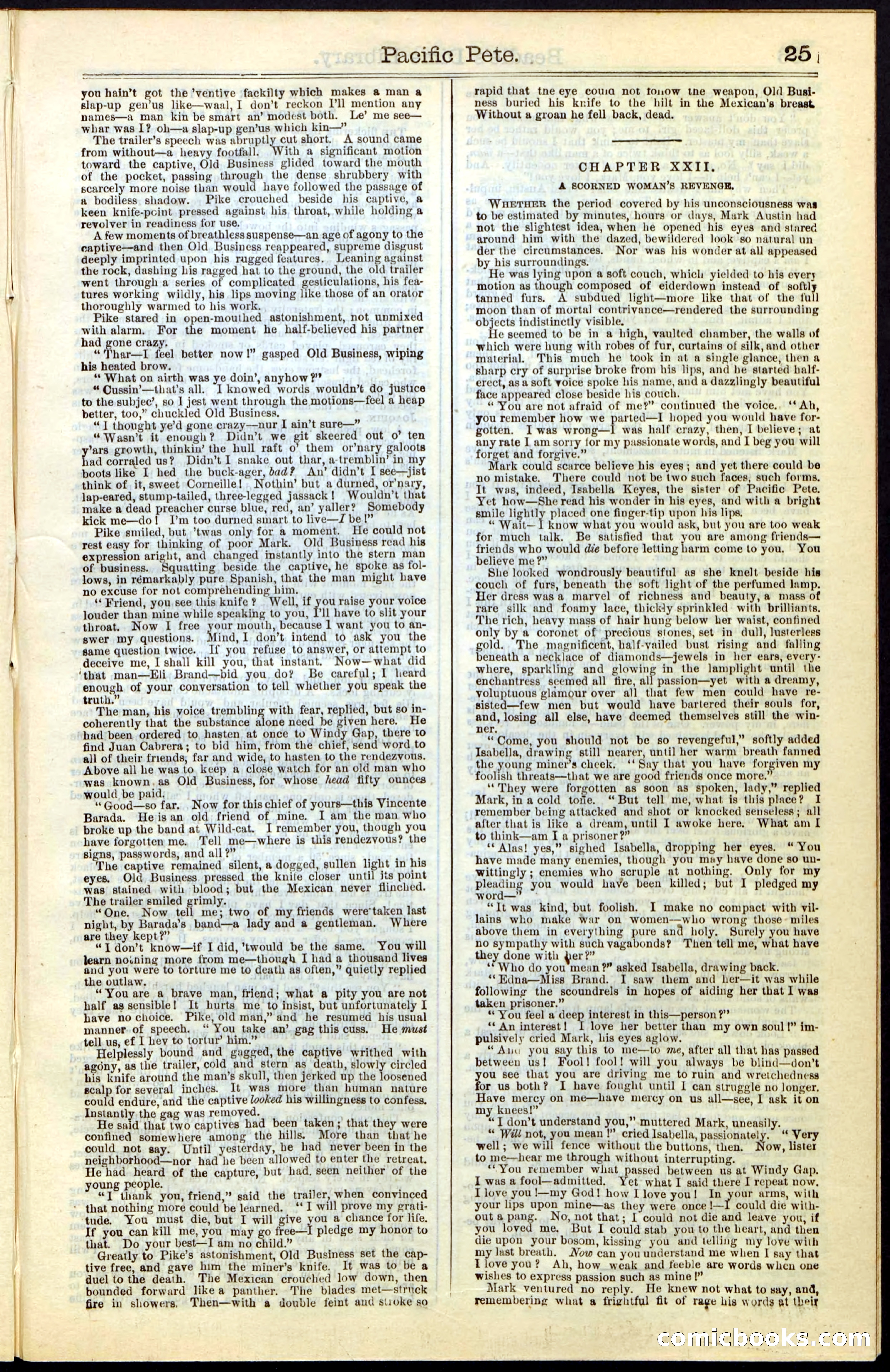 Beadle's Dime New York Library No. 47 — page 25 of 40