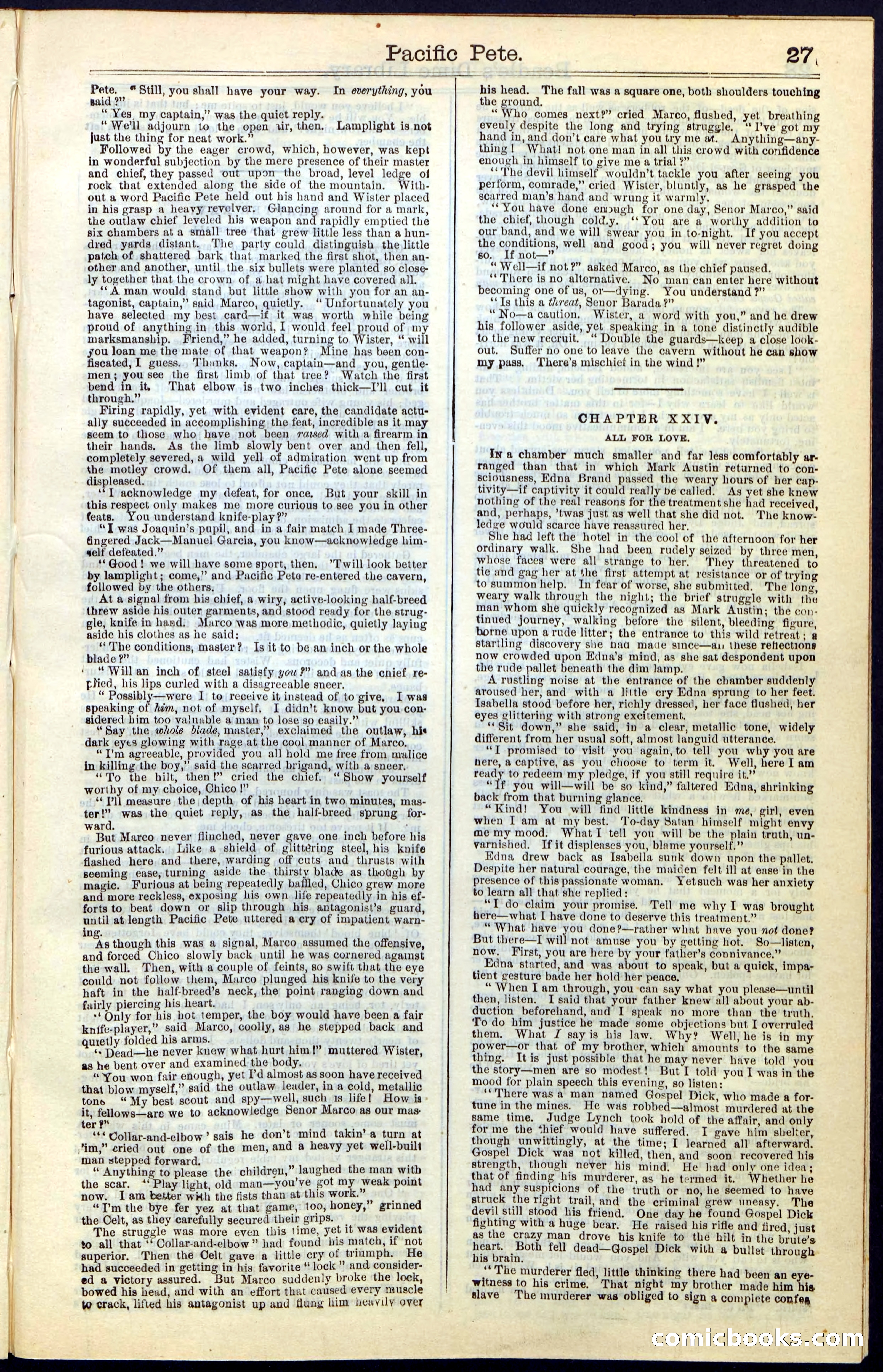 Beadle's Dime New York Library No. 47 — page 27 of 40