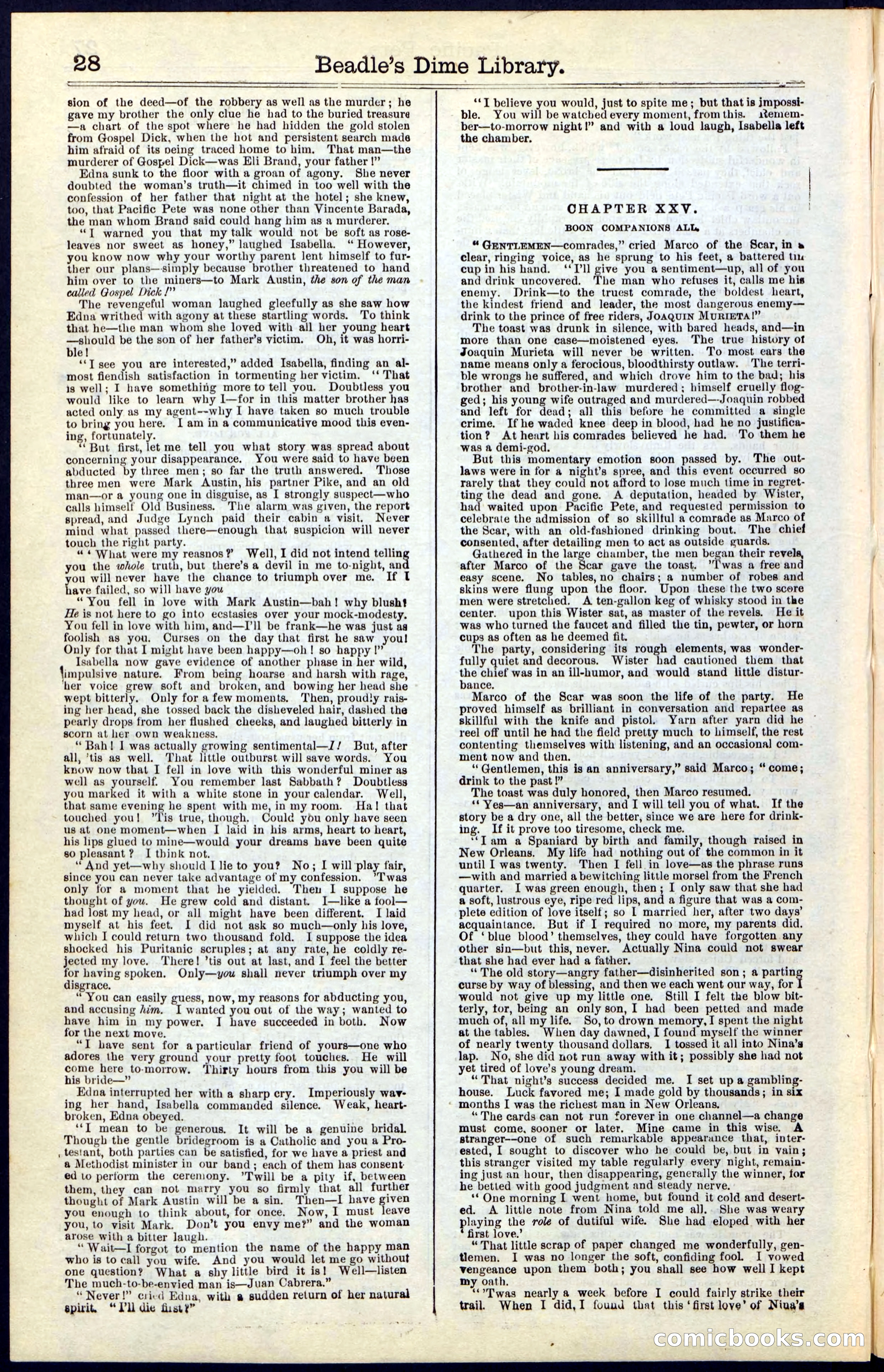 Beadle's Dime New York Library No. 47 — page 28 of 40