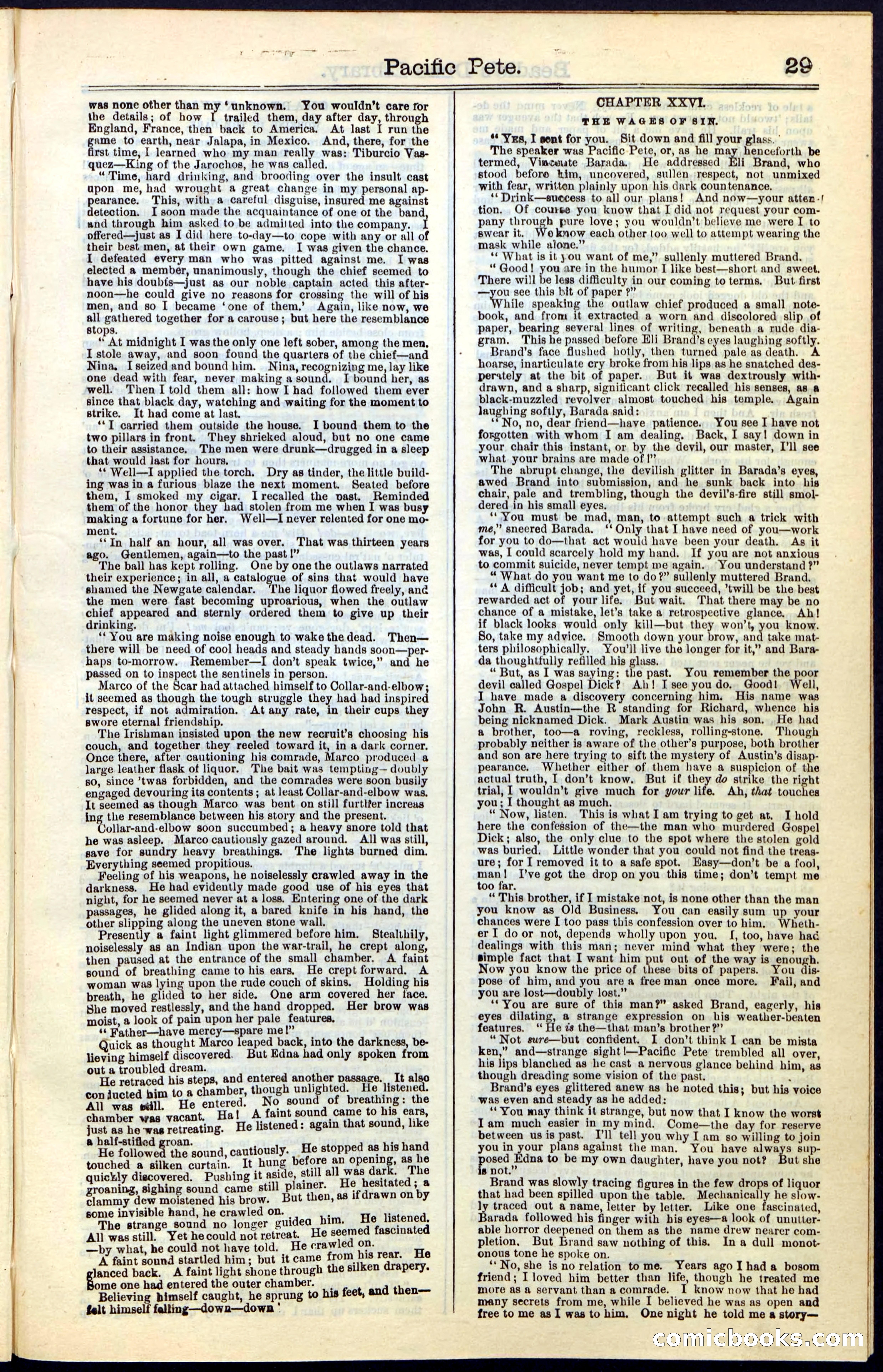 Beadle's Dime New York Library No. 47 — page 29 of 40