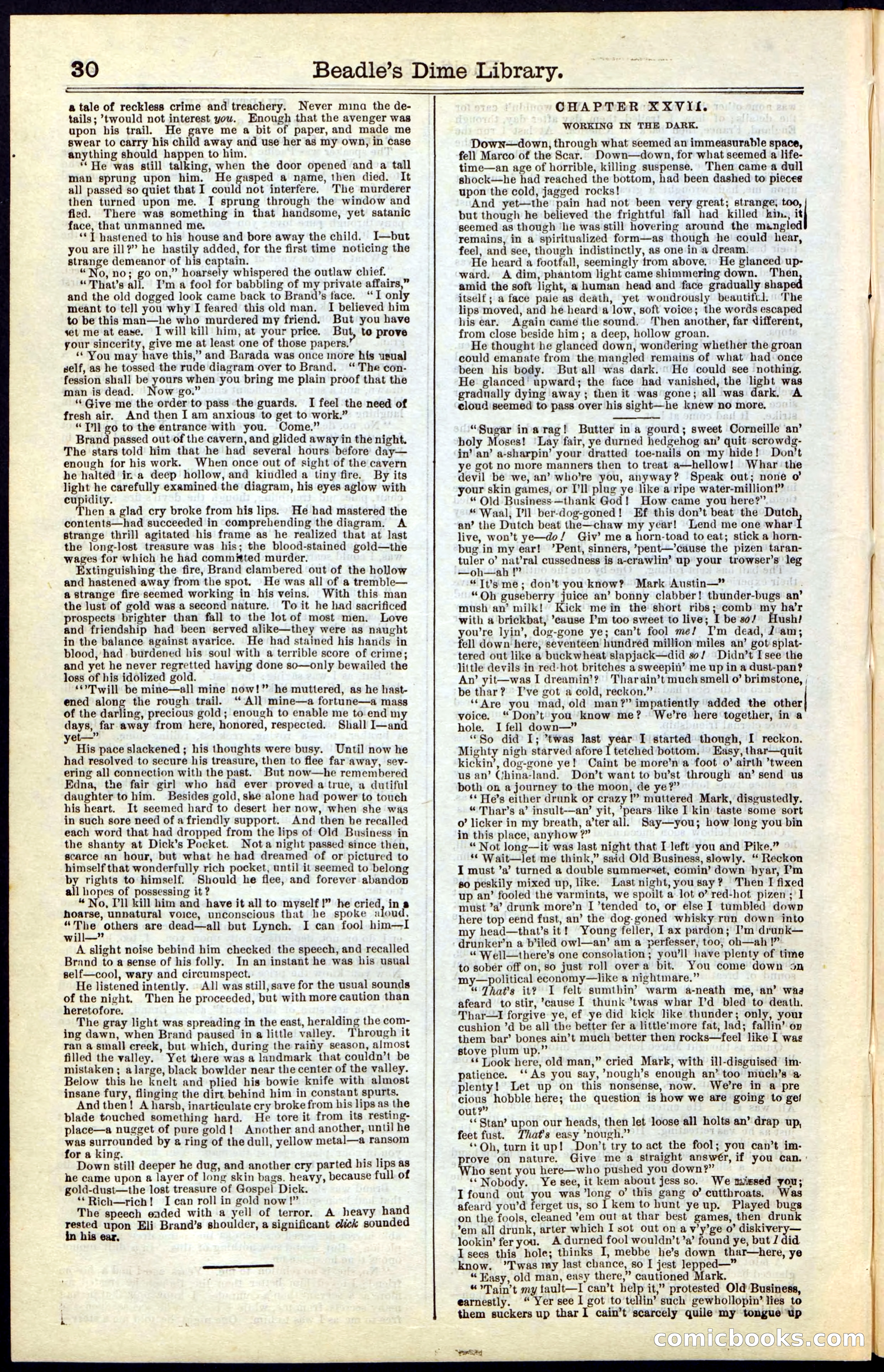 Beadle's Dime New York Library No. 47 — page 30 of 40
